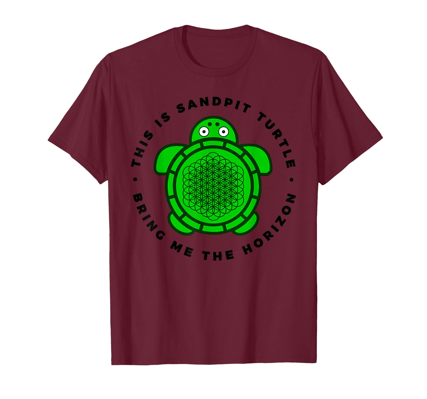 Vintage Funny This Is Sandpit Turtle Retro Animal Meme T-Shirt