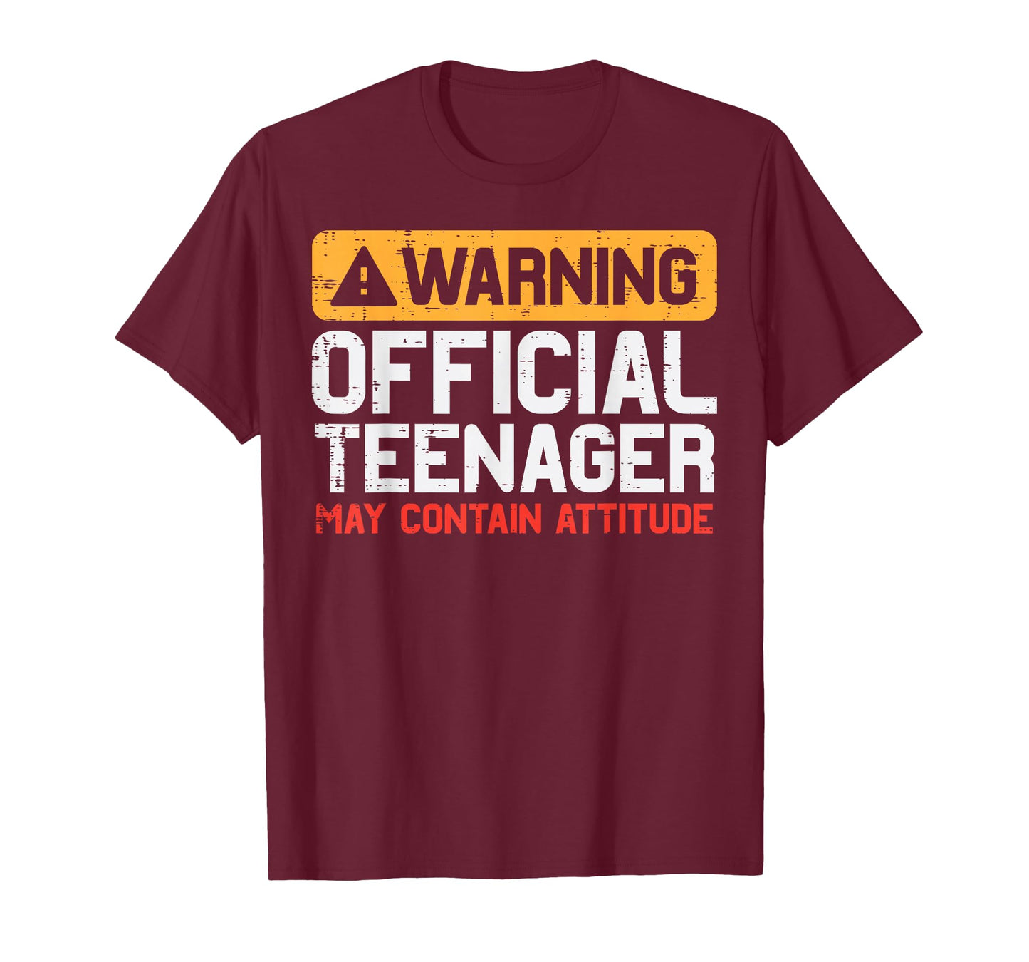 Warning Official Teenager Attitude 13th Birthday Boys Girls T-Shirt