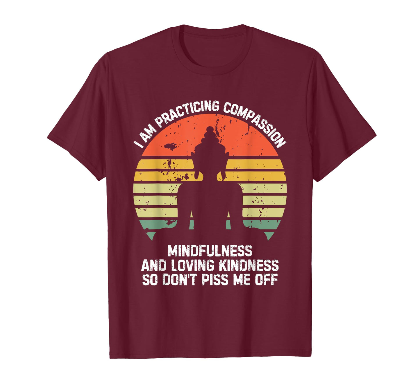 I am Practicing Mindfulness Compassion So Don't Piss Me Off T-Shirt