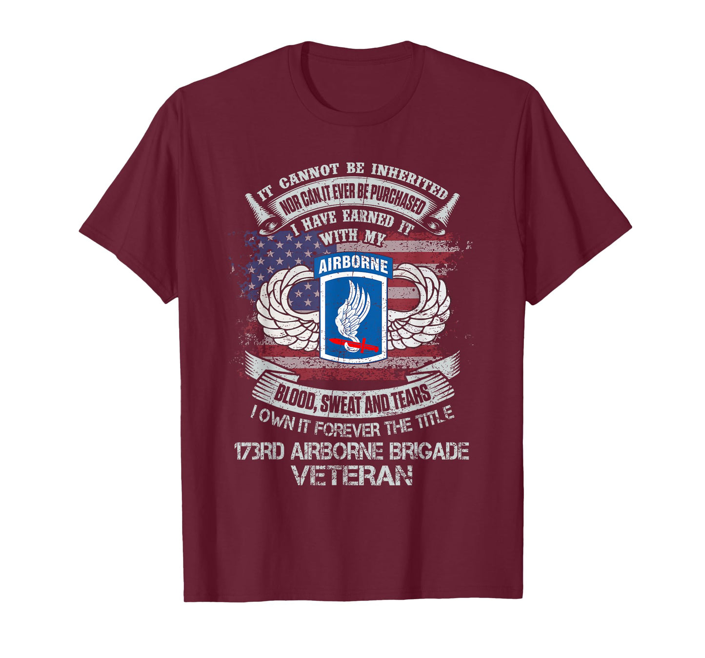 Own Forever The Title 173rd Airborne Brigade Veteran Flag US T-Shirt