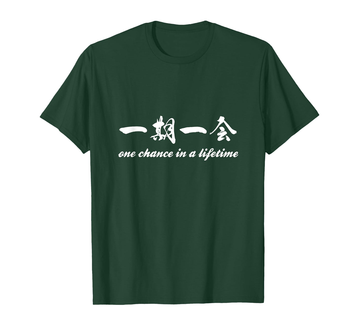 Dream Koi Studio Classic T-Shirt 02B - Ichi Go Ichi E T-Shirt