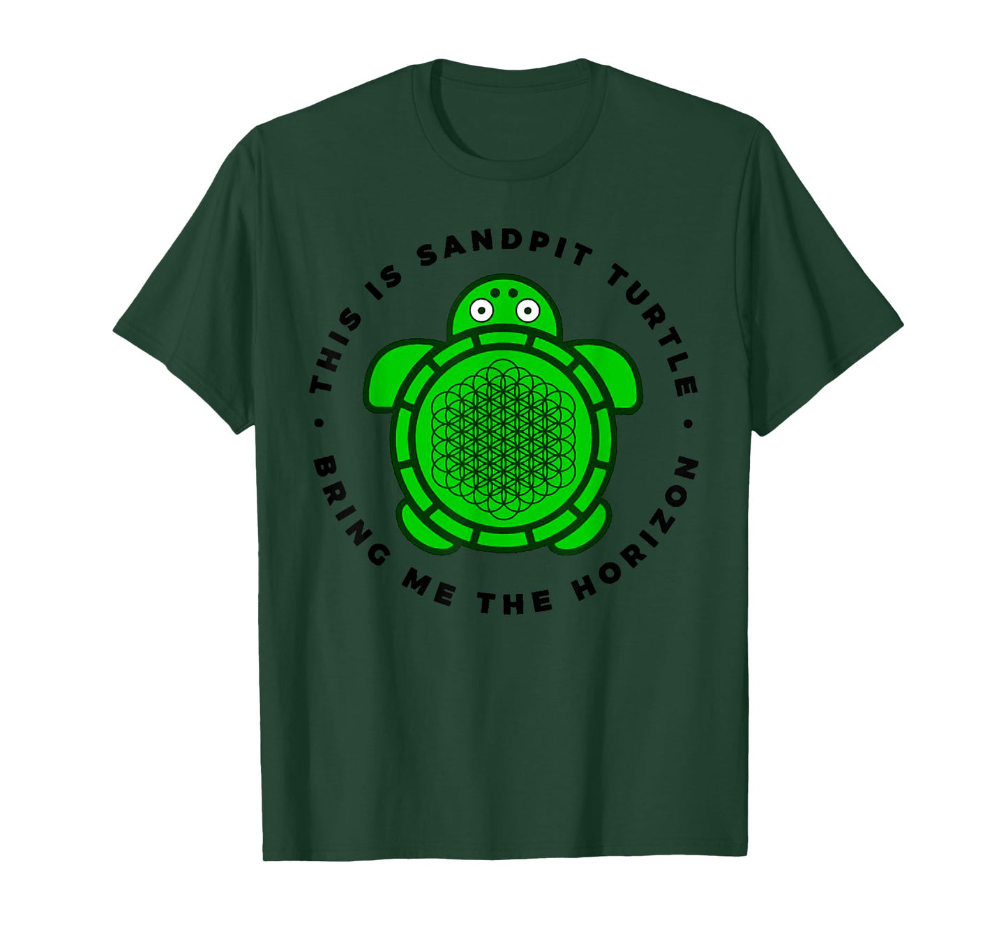 Vintage Funny This Is Sandpit Turtle Retro Animal Meme T-Shirt