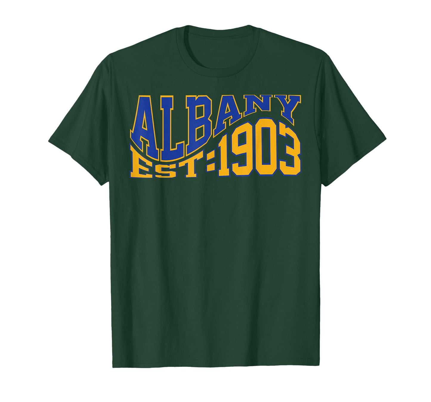 Retro Albany Wave Text City Vintage State T-Shirt