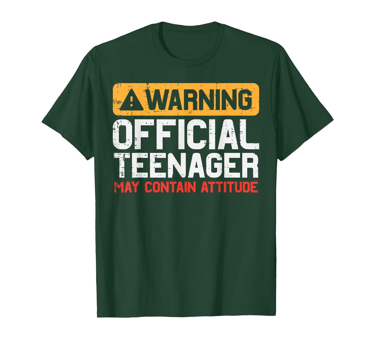 Warning Official Teenager Attitude 13th Birthday Boys Girls T-Shirt