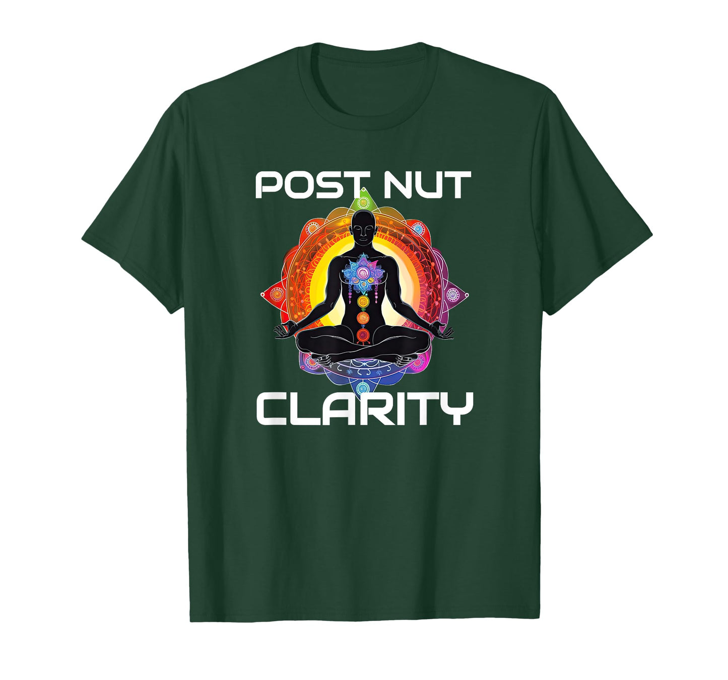 Funny Post Nut Clarity Meme Sarcastic Adult Humor T-Shirt