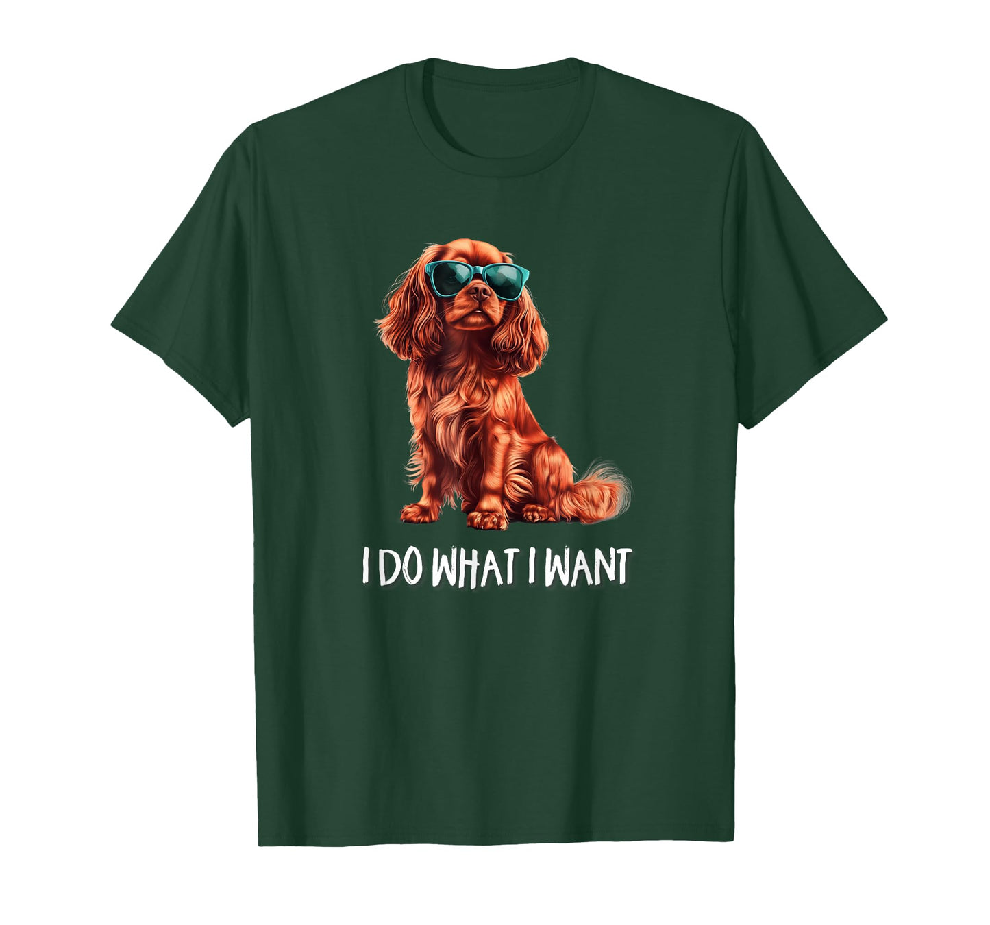 Funny What I Want Ruby Cavalier King Charles Spaniel Lover T-Shirt