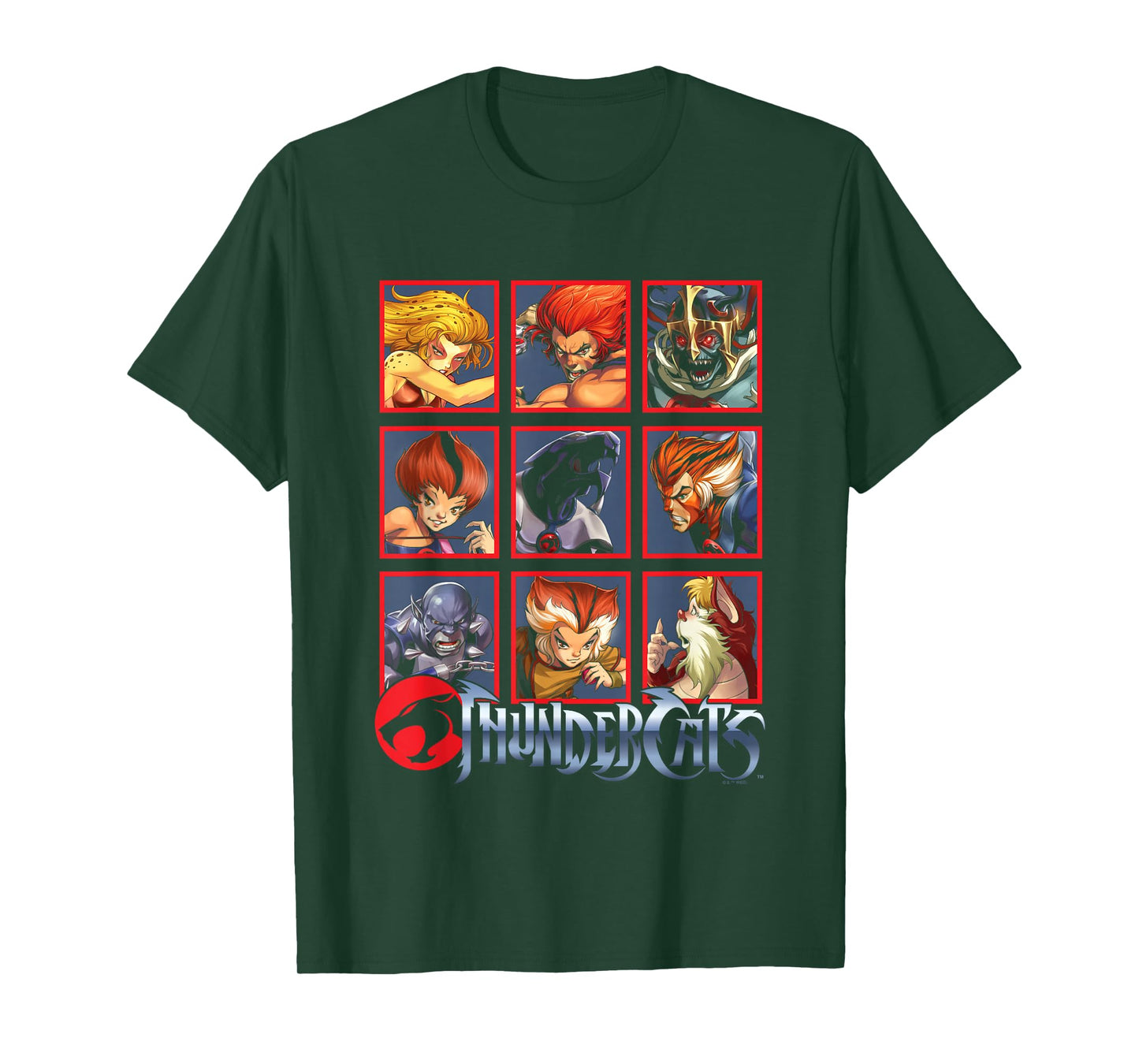 ThunderCats Bring The Thunder Vintage Box Up T-Shirt