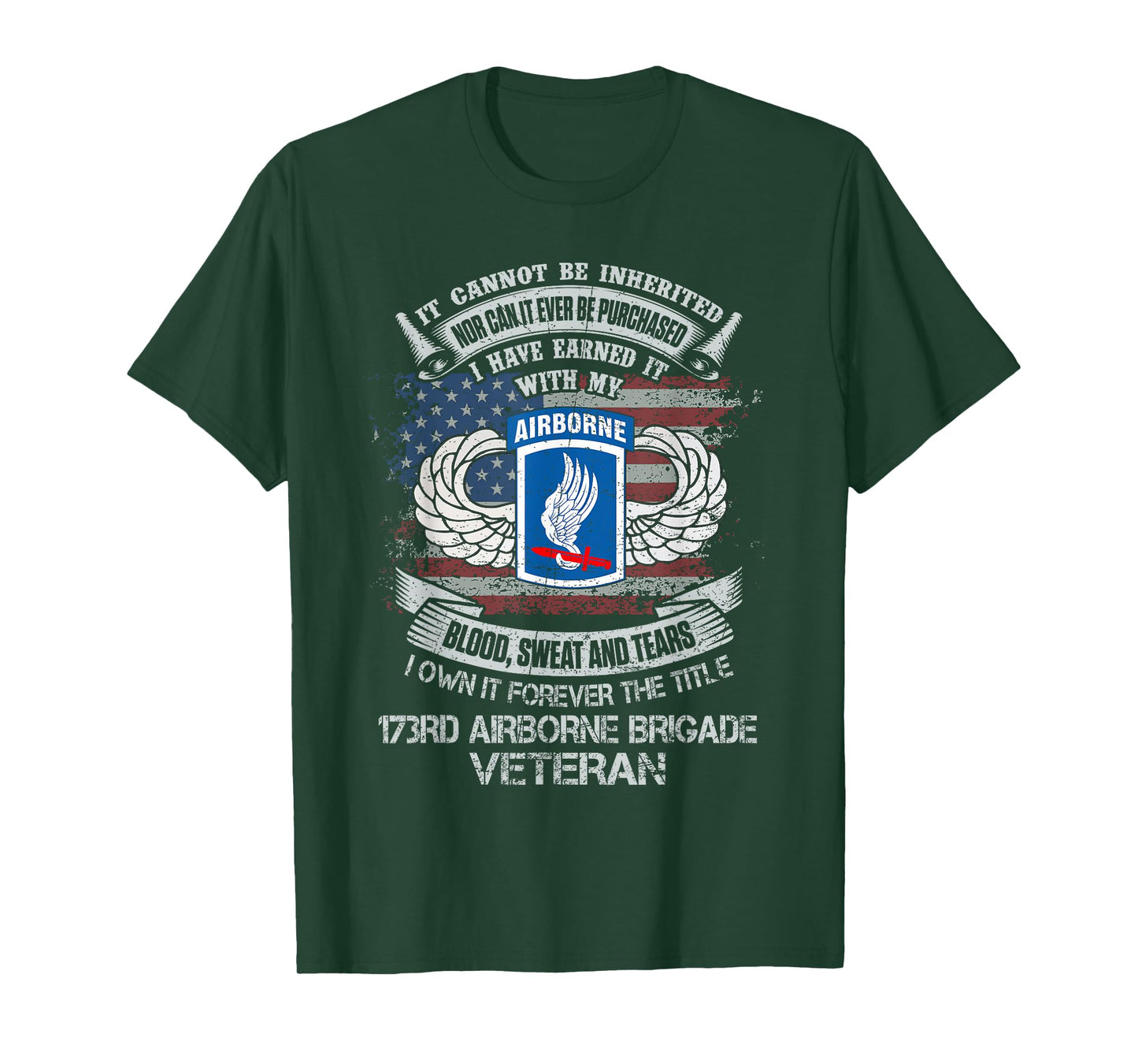 Own Forever The Title 173rd Airborne Brigade Veteran Flag US T-Shirt