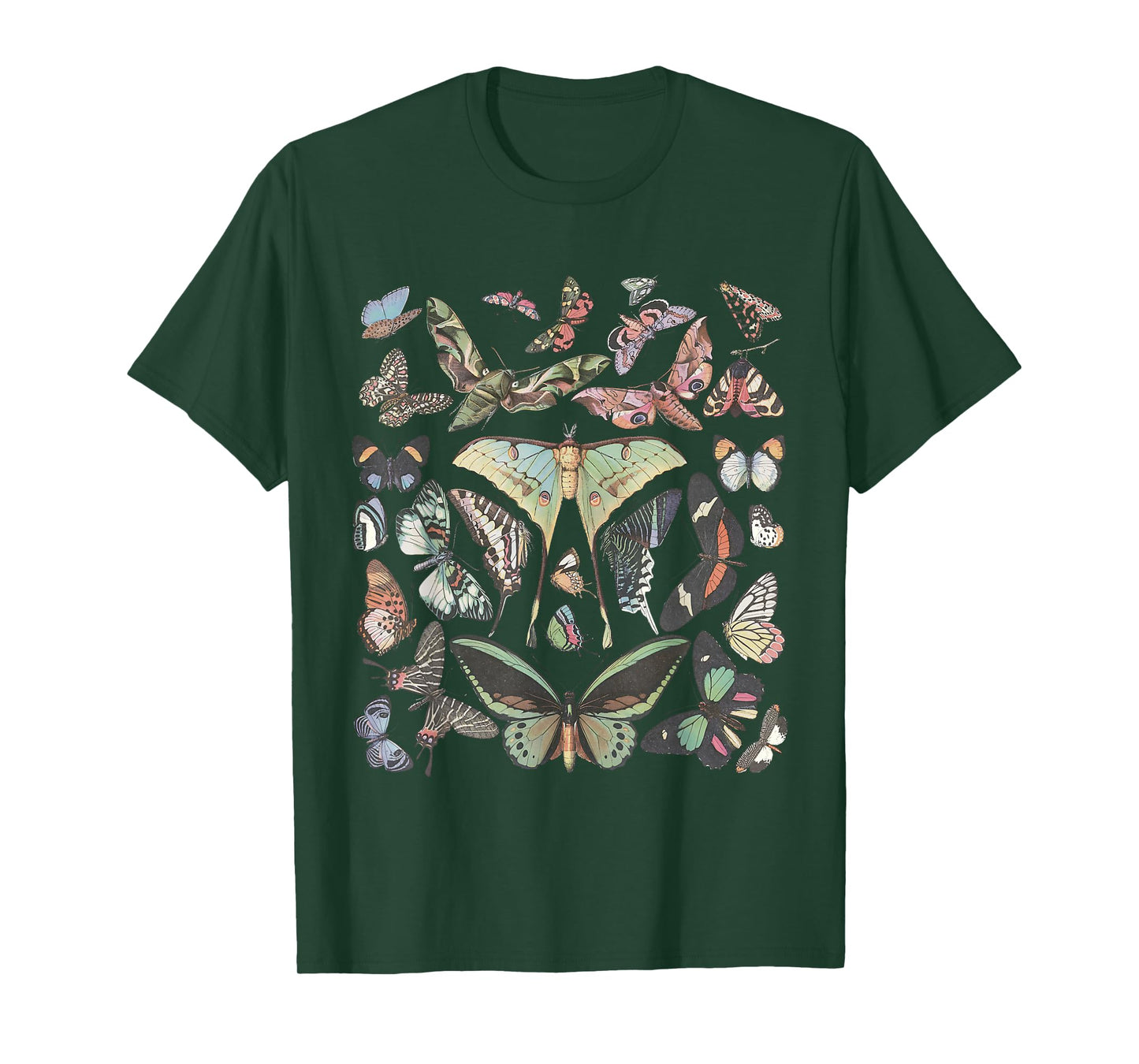 Vintage Butterfly and Moth Cute Graphic For Teacher Womens T-Shirt