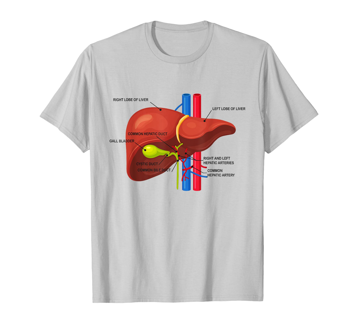 Funny Human Liver Anatomy Anatomical Liver T-Shirt