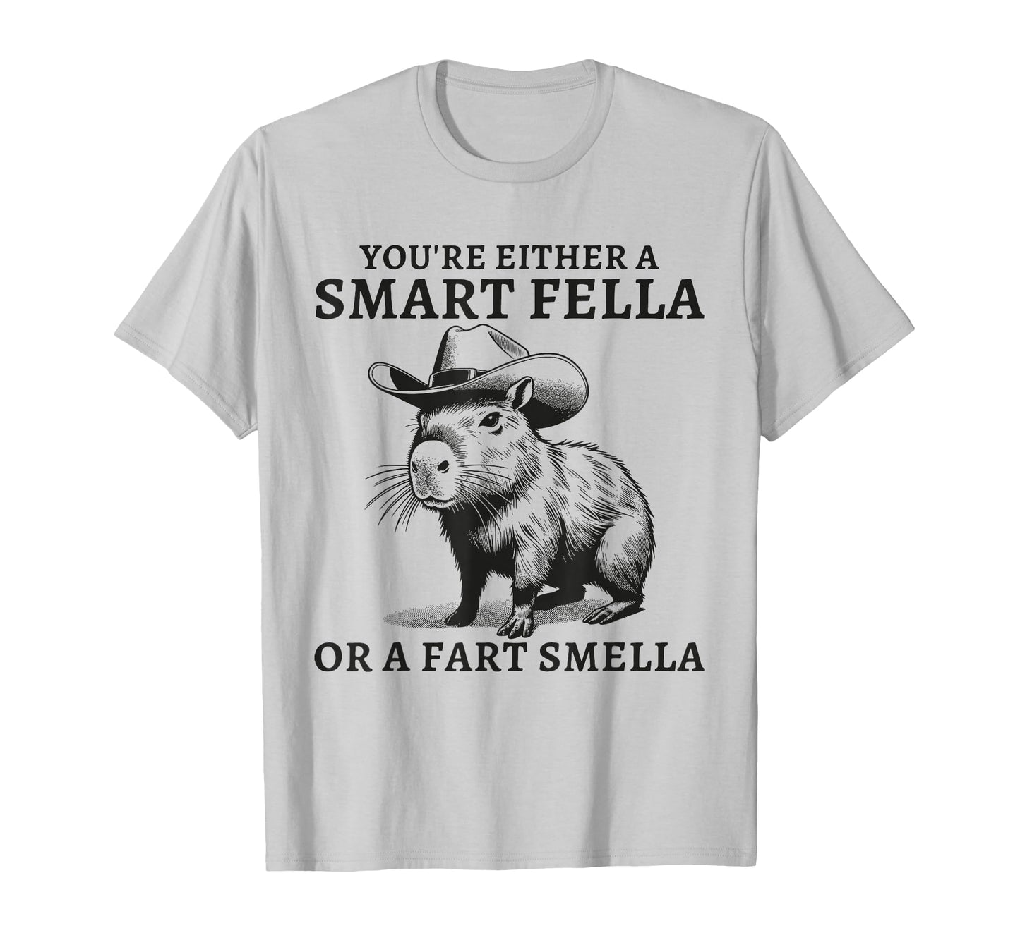 You're Either A Smart Fella Or A Fart Smella Funny Sarcastic T-Shirt