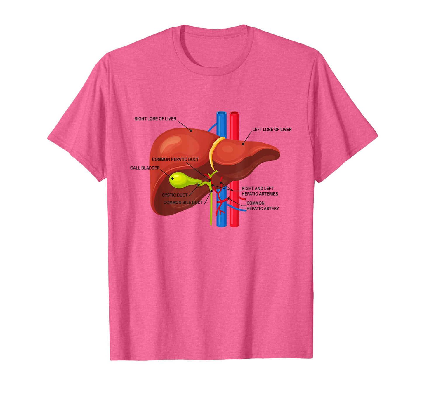 Funny Human Liver Anatomy Anatomical Liver T-Shirt