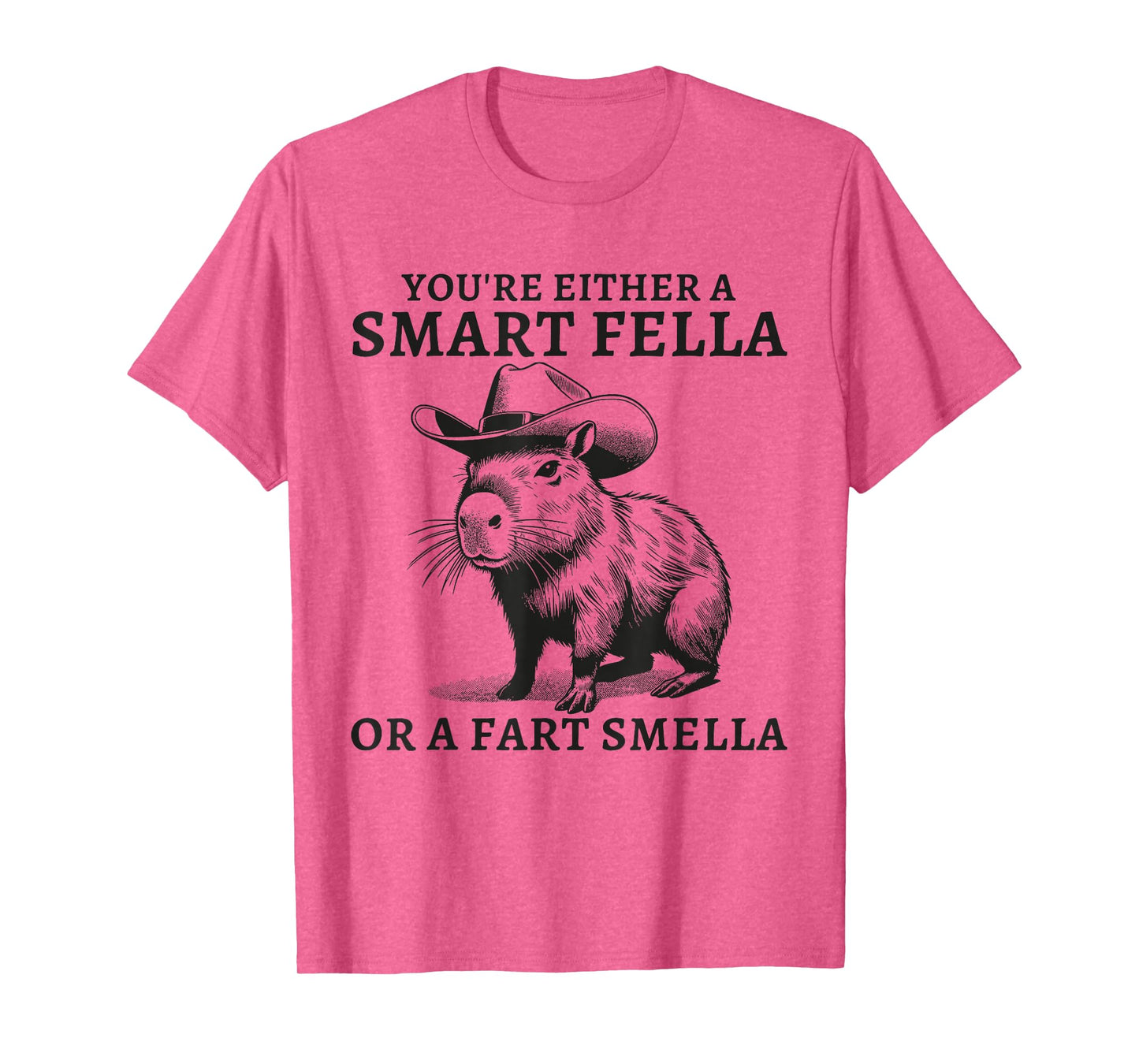 You're Either A Smart Fella Or A Fart Smella Funny Sarcastic T-Shirt