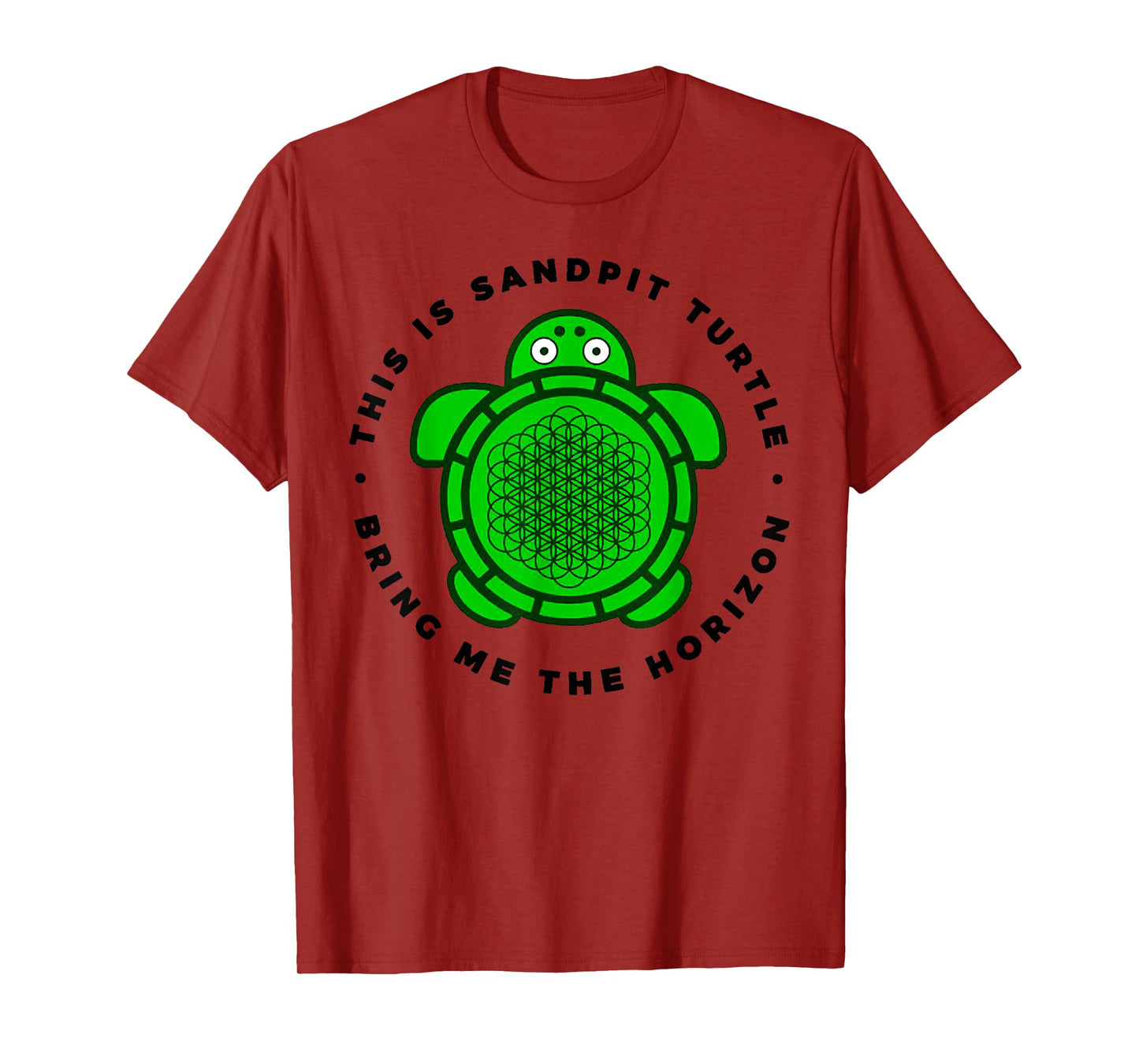 Vintage Funny This Is Sandpit Turtle Retro Animal Meme T-Shirt