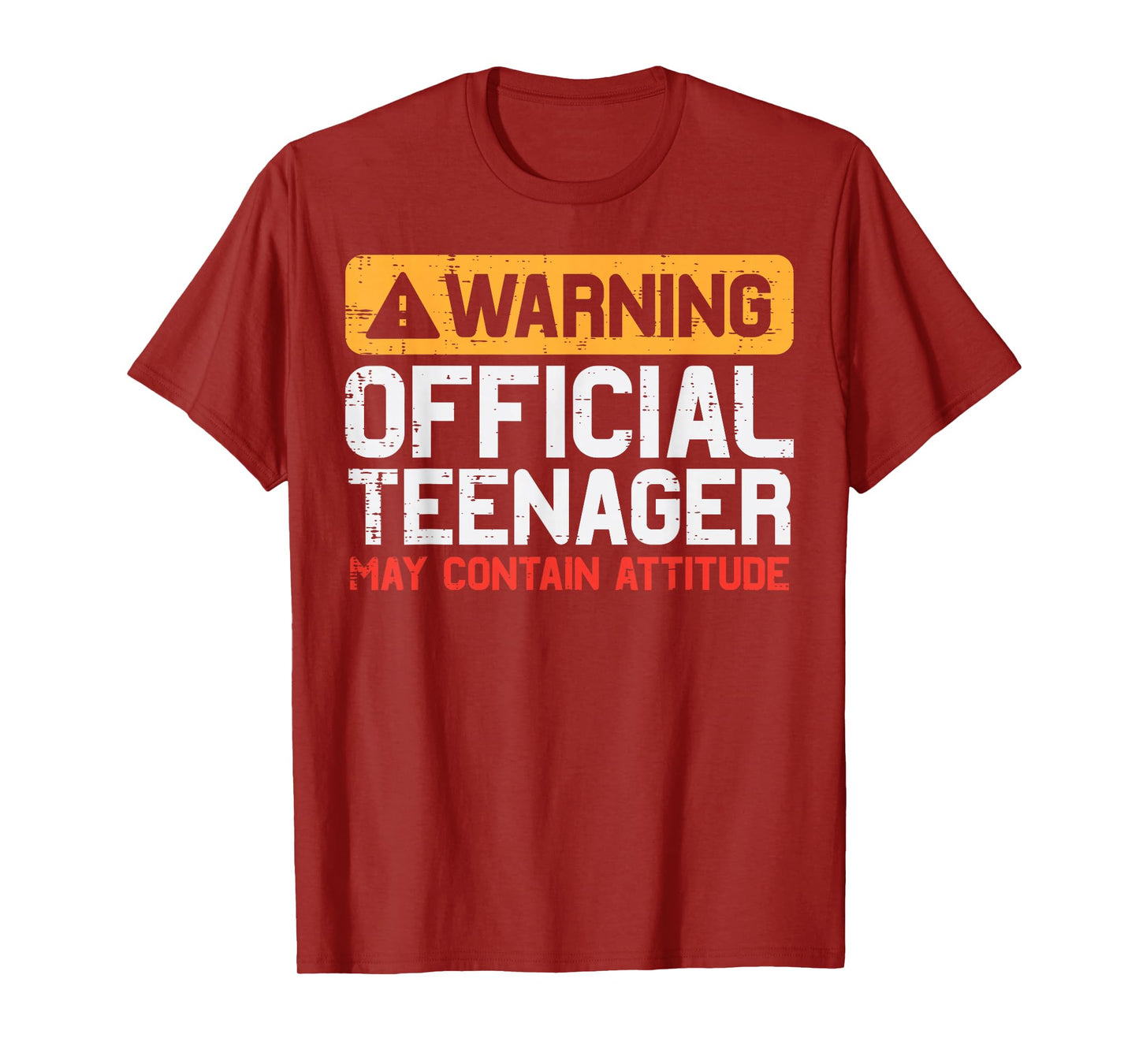 Warning Official Teenager Attitude 13th Birthday Boys Girls T-Shirt