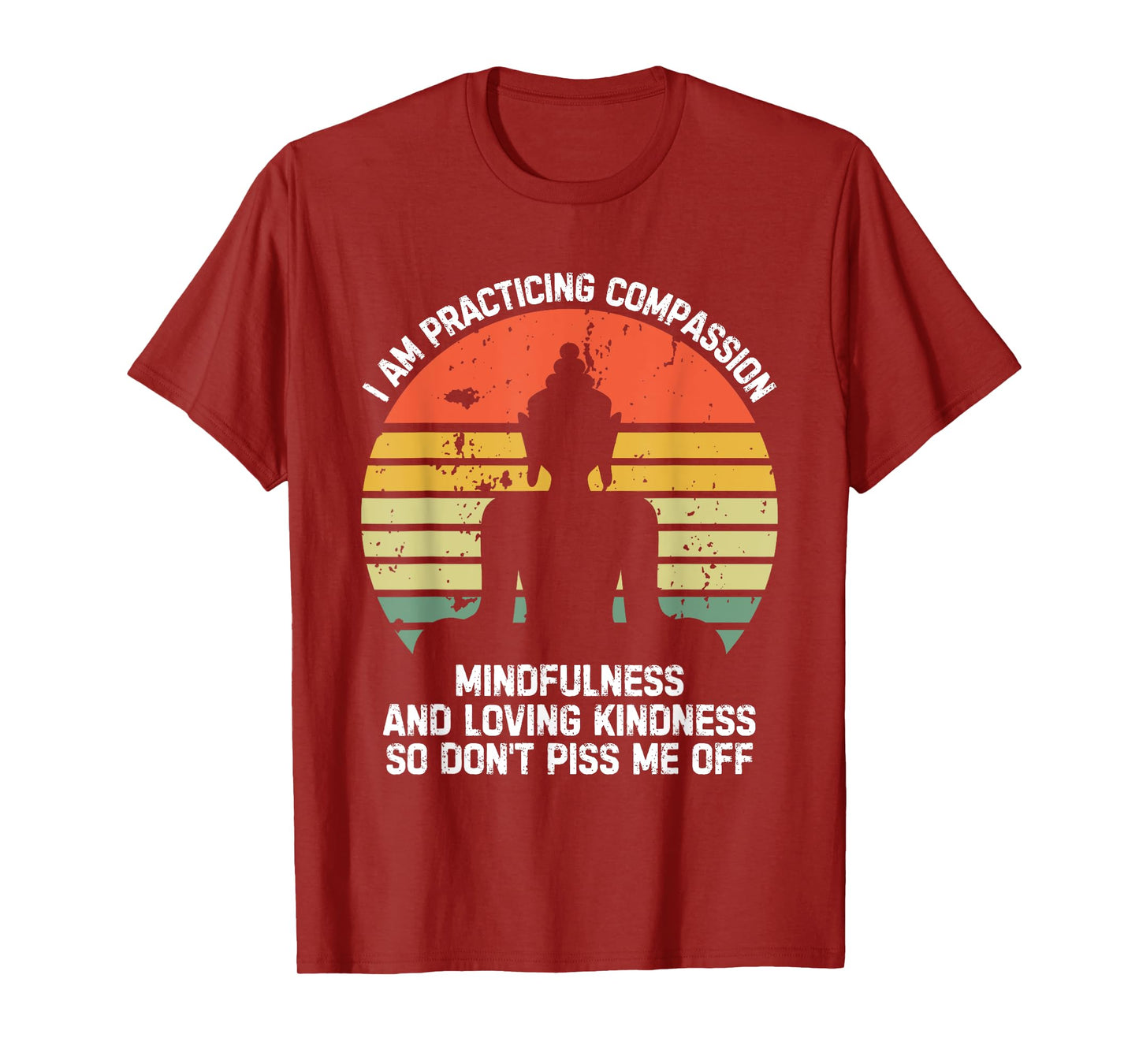 I am Practicing Mindfulness Compassion So Don't Piss Me Off T-Shirt