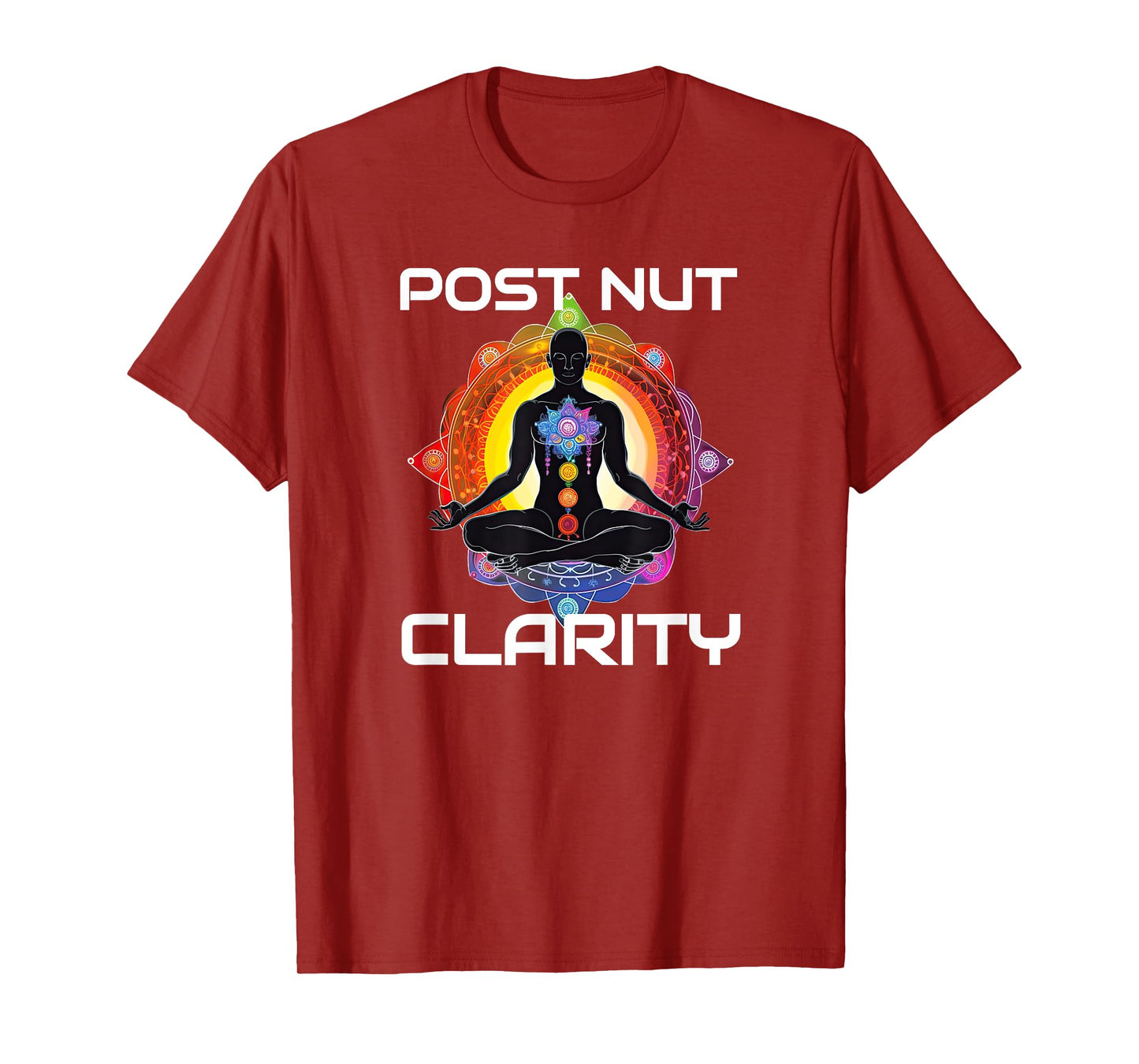 Funny Post Nut Clarity Meme Sarcastic Adult Humor T-Shirt