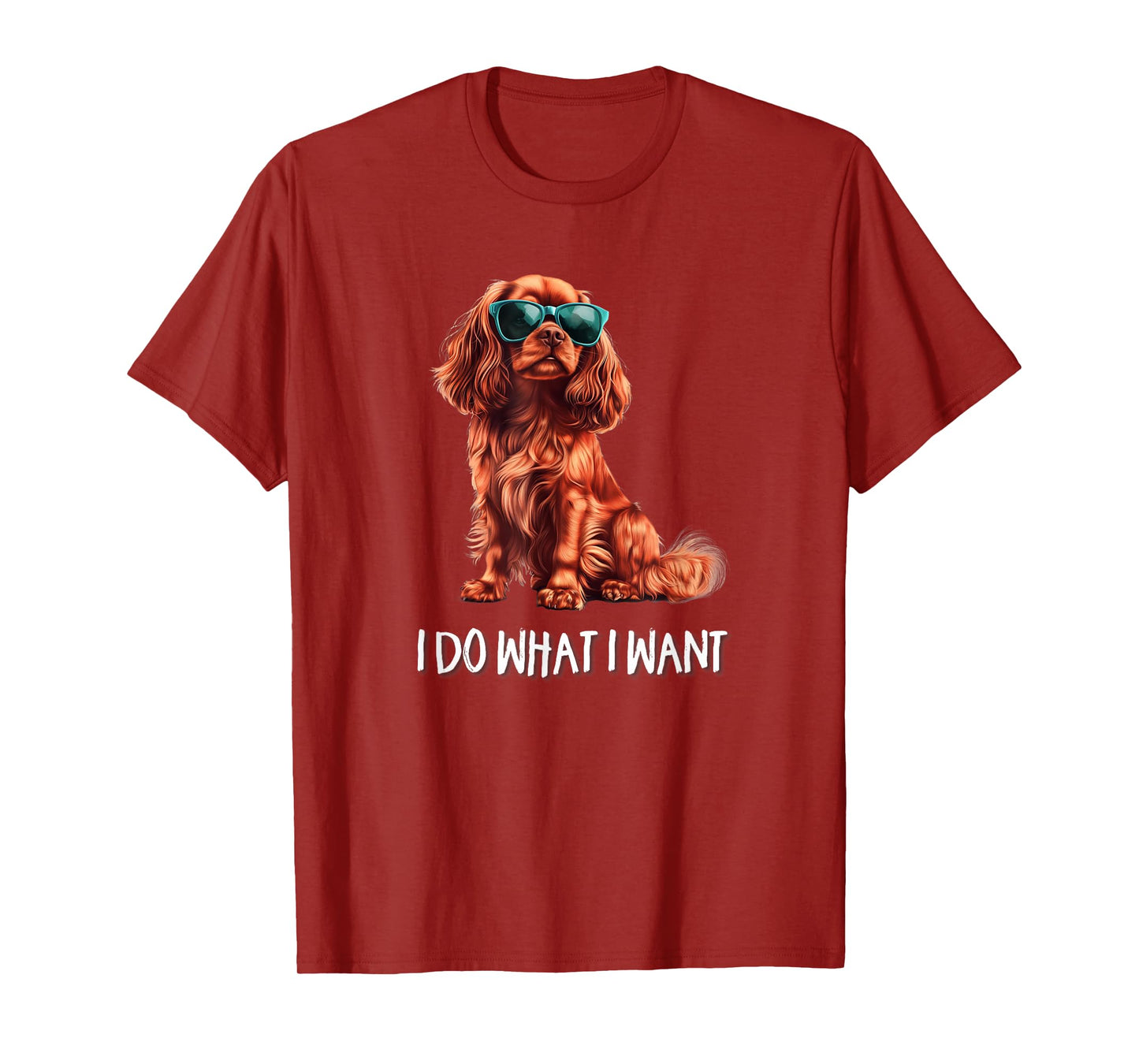 Funny What I Want Ruby Cavalier King Charles Spaniel Lover T-Shirt