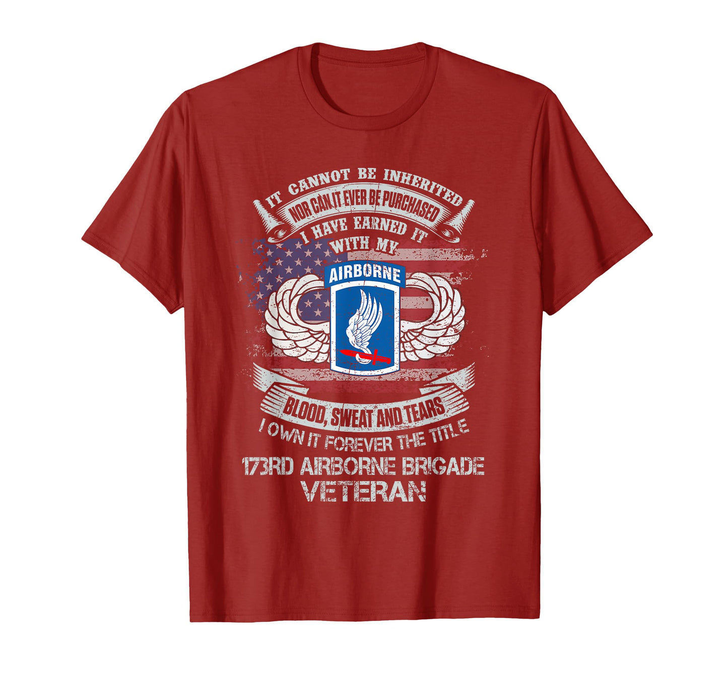 Own Forever The Title 173rd Airborne Brigade Veteran Flag US T-Shirt