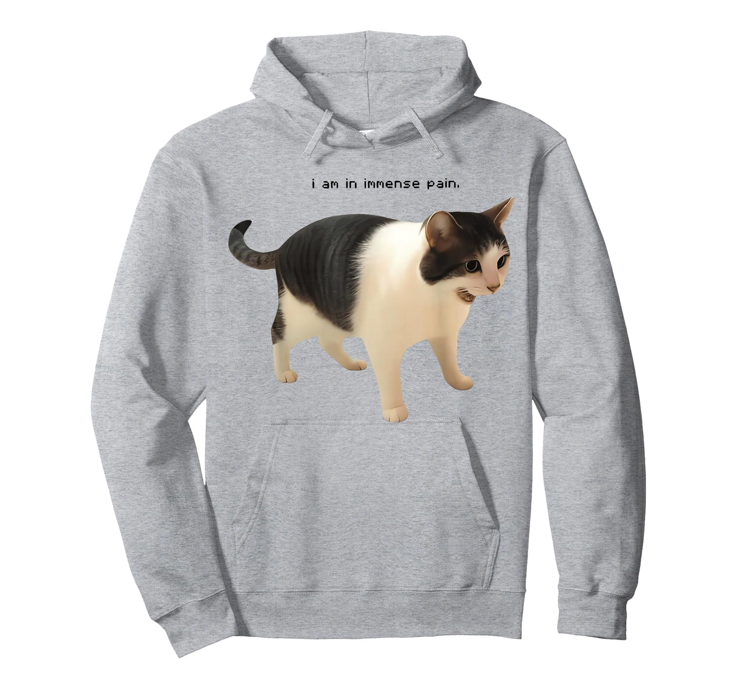 I Am in Immense Pain Funny Cat Meme Quote T-Shirt