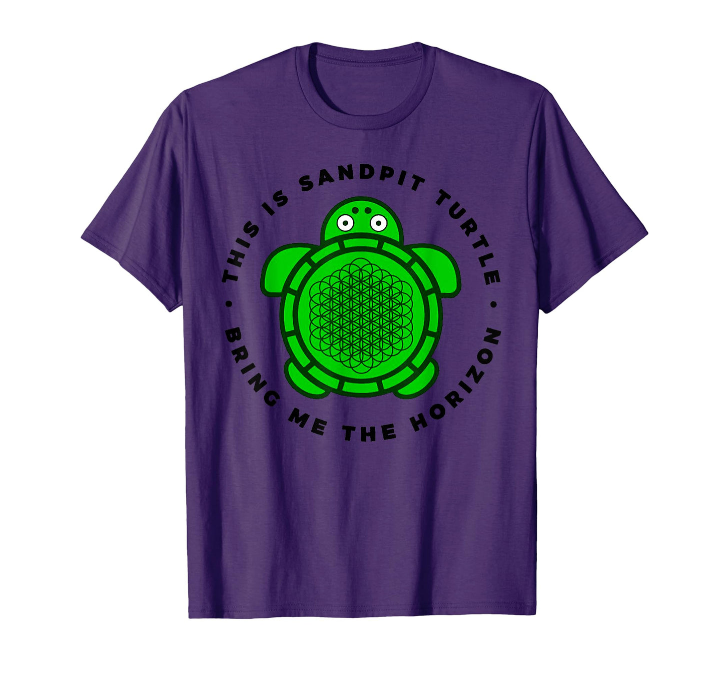Vintage Funny This Is Sandpit Turtle Retro Animal Meme T-Shirt