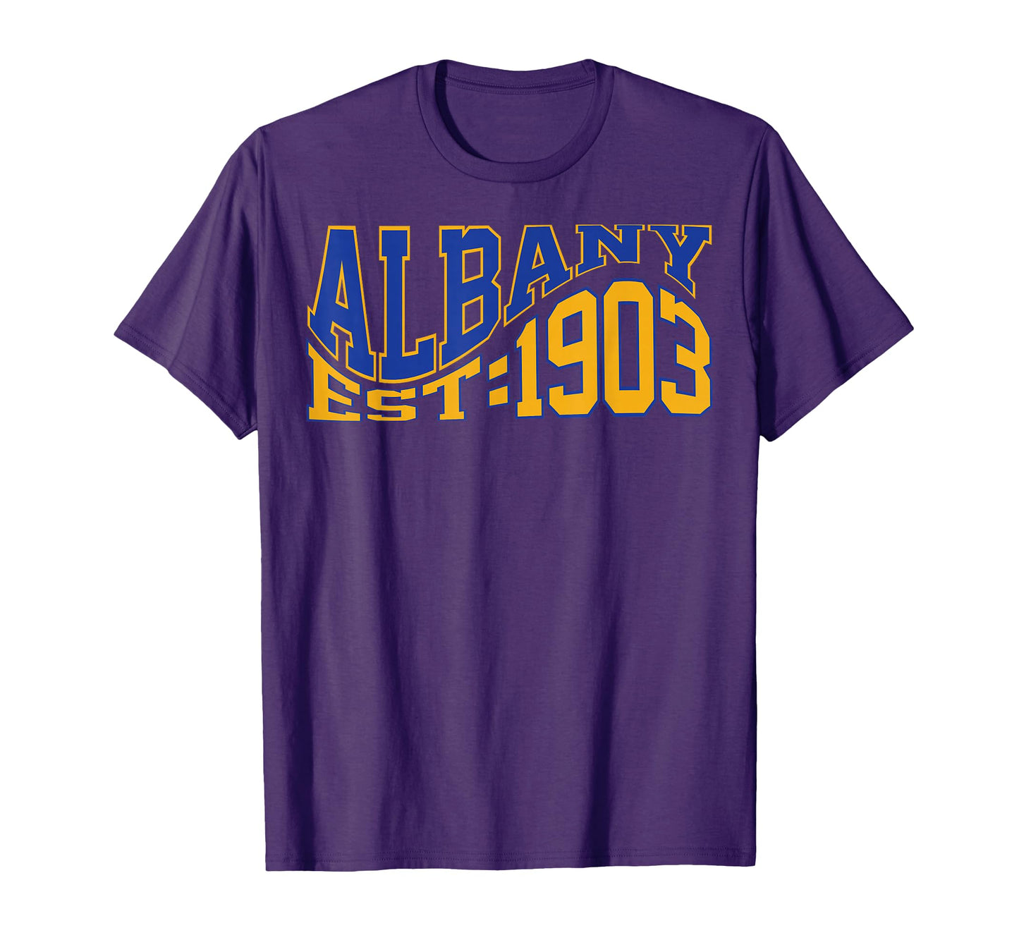Retro Albany Wave Text City Vintage State T-Shirt
