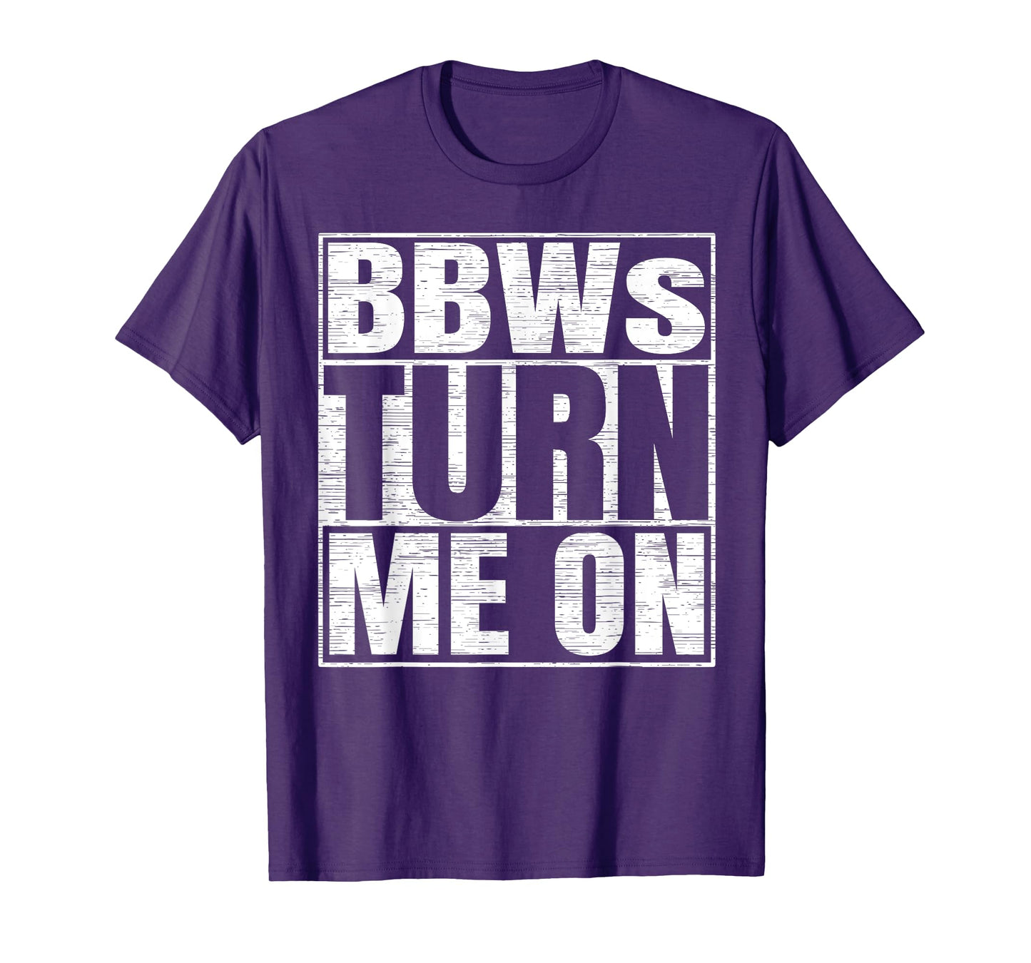 BBWs Turn Me On Funny Adult Humor BBW Lovers T-Shirt
