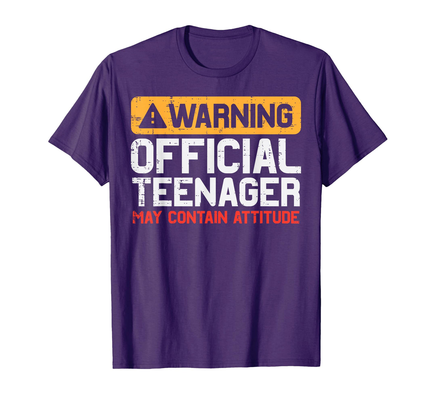 Warning Official Teenager Attitude 13th Birthday Boys Girls T-Shirt