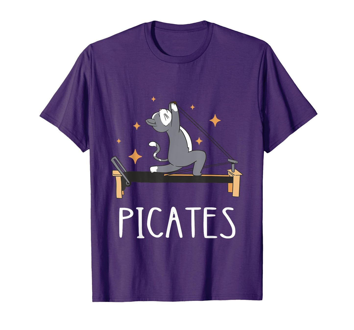 Pilates Cat Pilates Workout Pilates Fitness Instructor T-Shirt for Men Women Kids