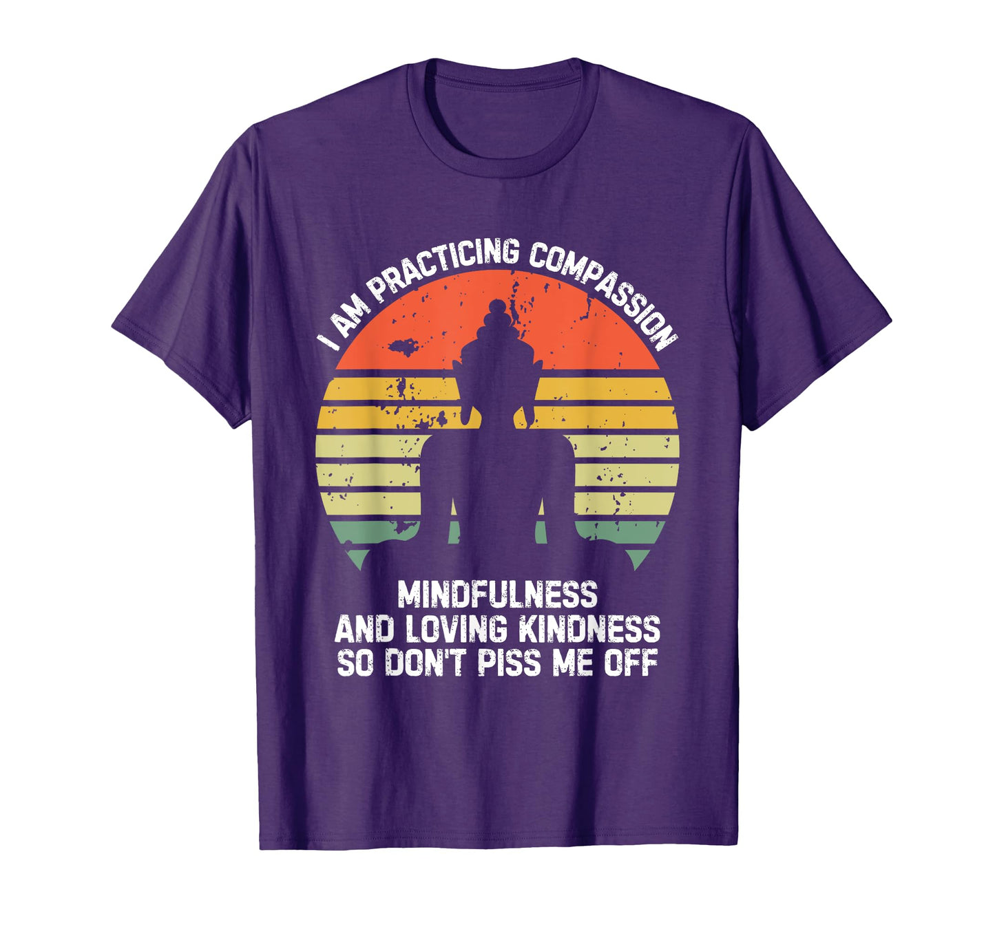 I am Practicing Mindfulness Compassion So Don't Piss Me Off T-Shirt
