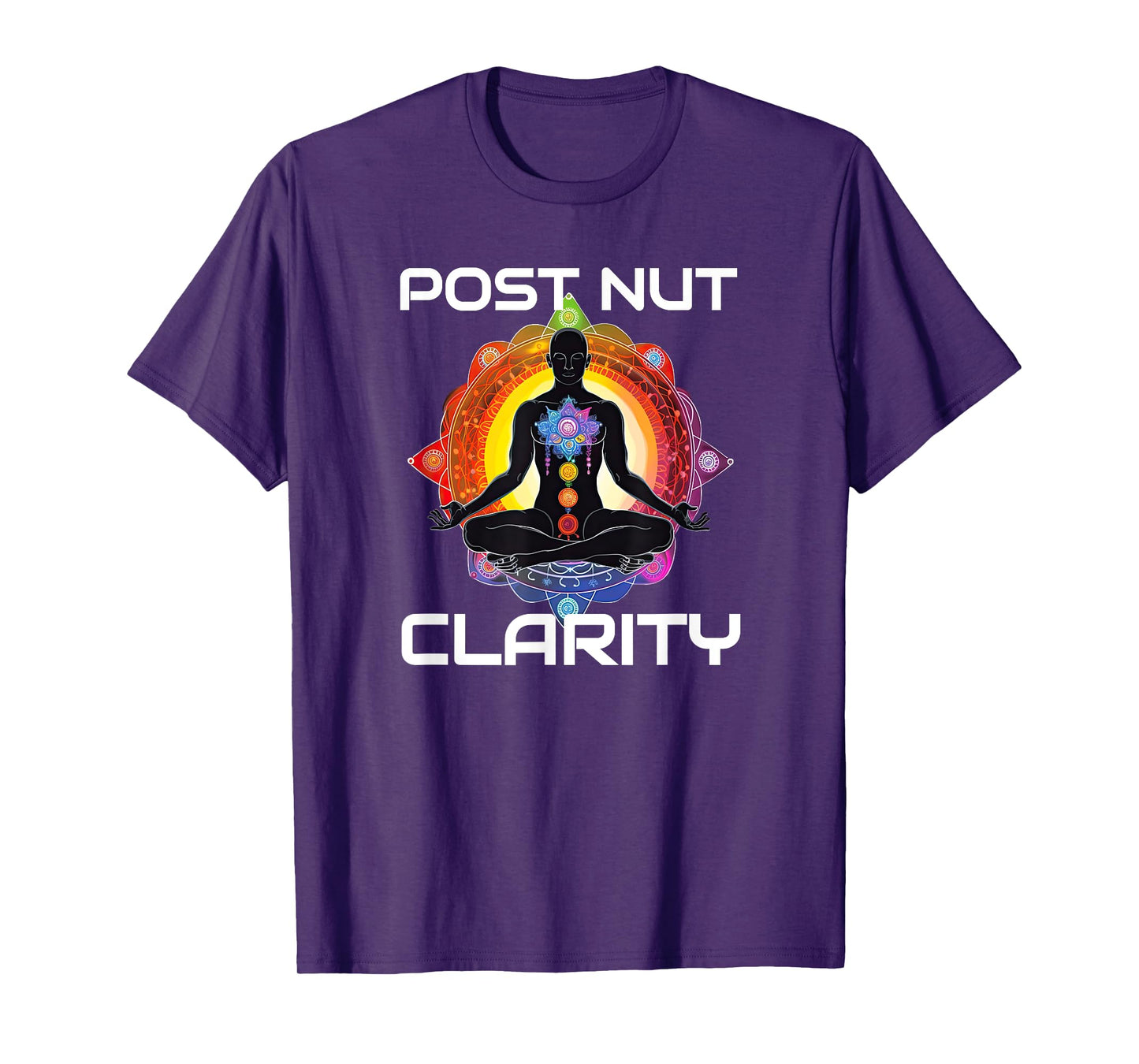 Funny Post Nut Clarity Meme Sarcastic Adult Humor T-Shirt