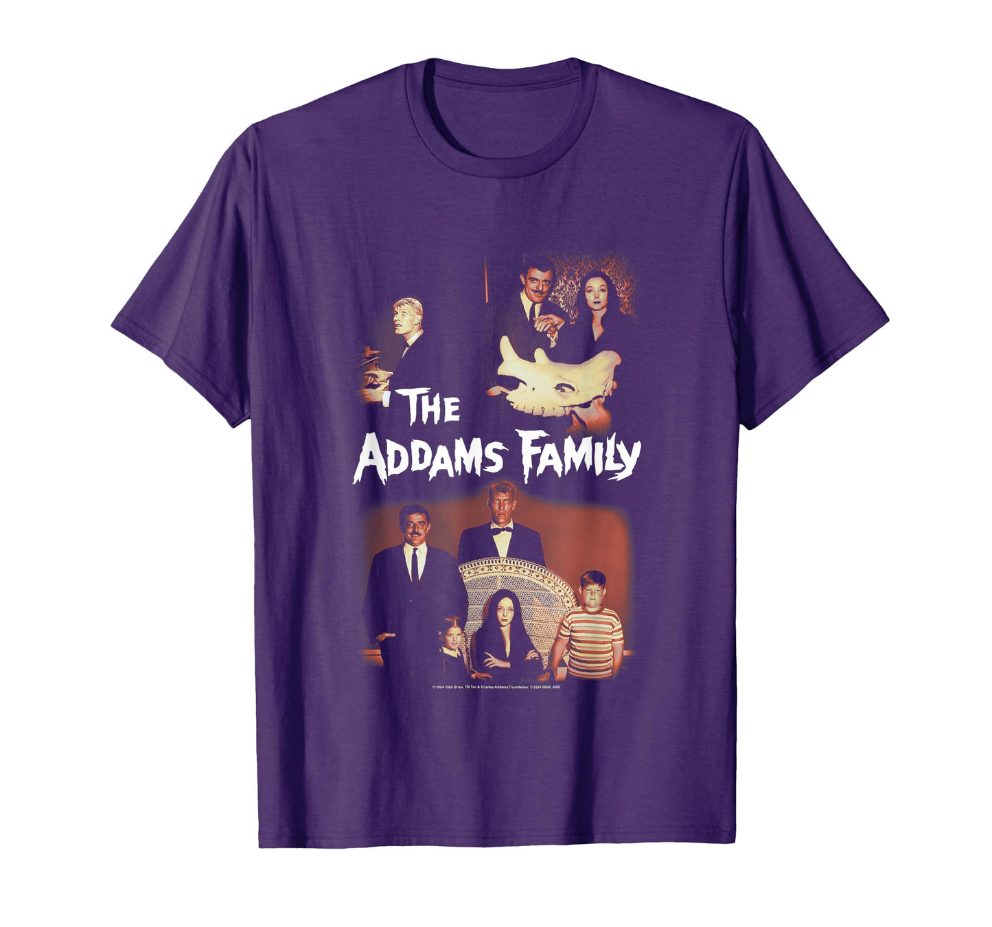 The Addams Family Vintage Split Panel Family Portraits T-Shirt