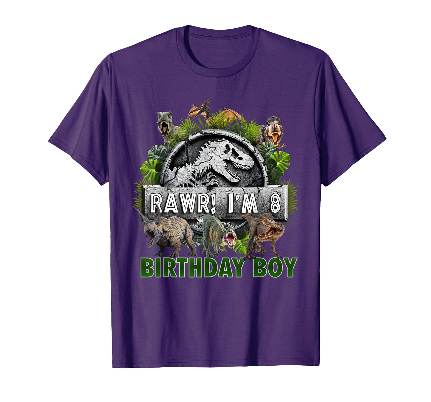 Kids 8 Year Old Shirt 8th Birthday Boy T Rex Dinosaur T-Shirt