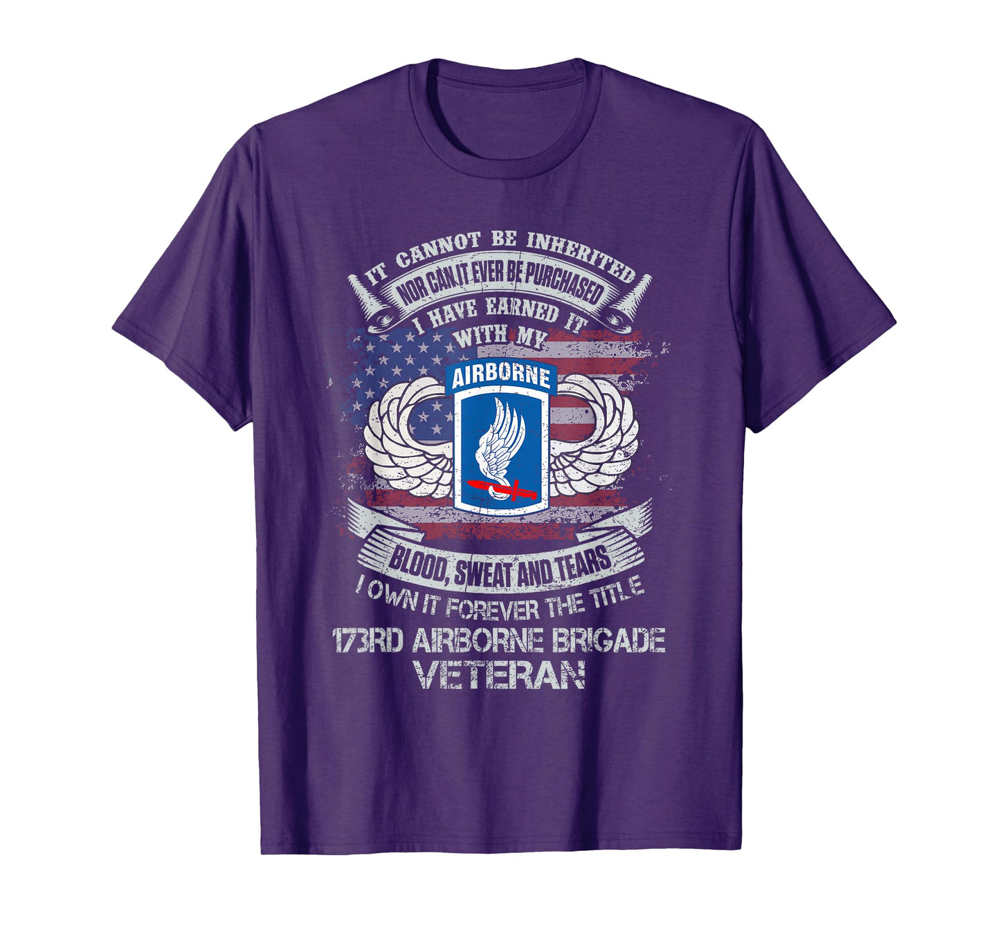 Own Forever The Title 173rd Airborne Brigade Veteran Flag US T-Shirt