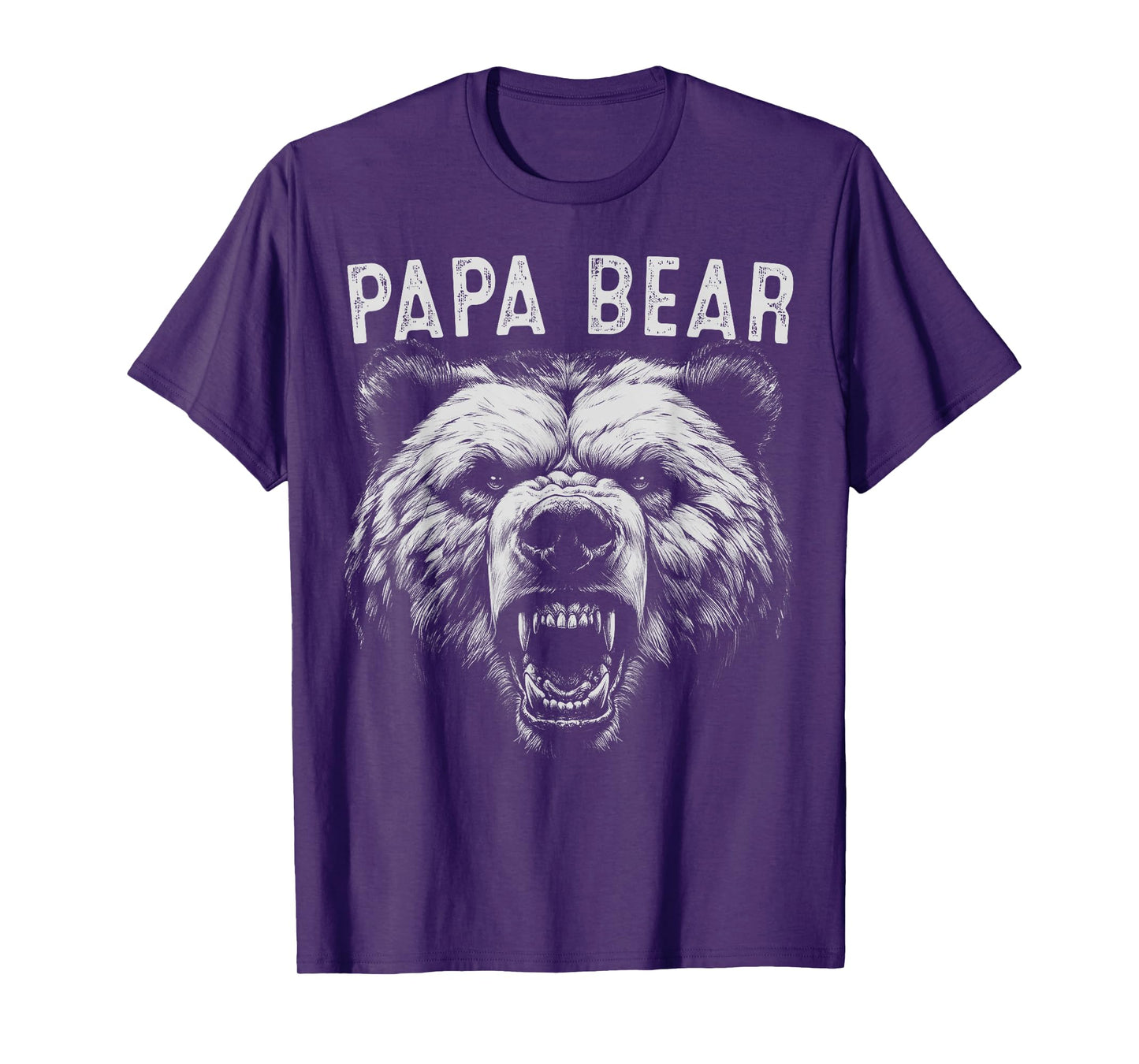 Papa Bear Best Idea Fathers Day Funny Bear Gifts For Men Dad T-Shirt