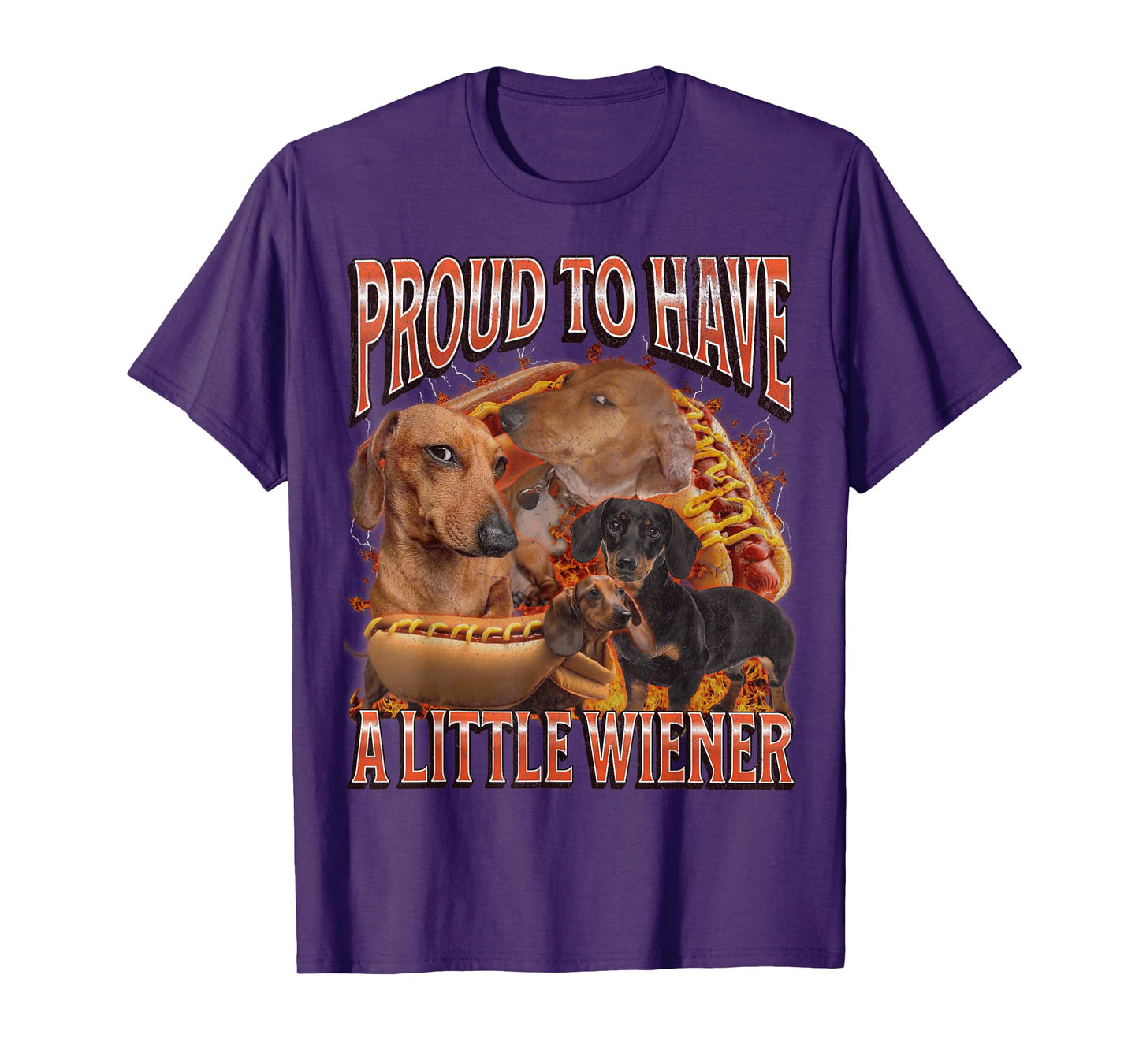Proud To Have A Little Wiener Funny Offensive Dachshund T-Shirt