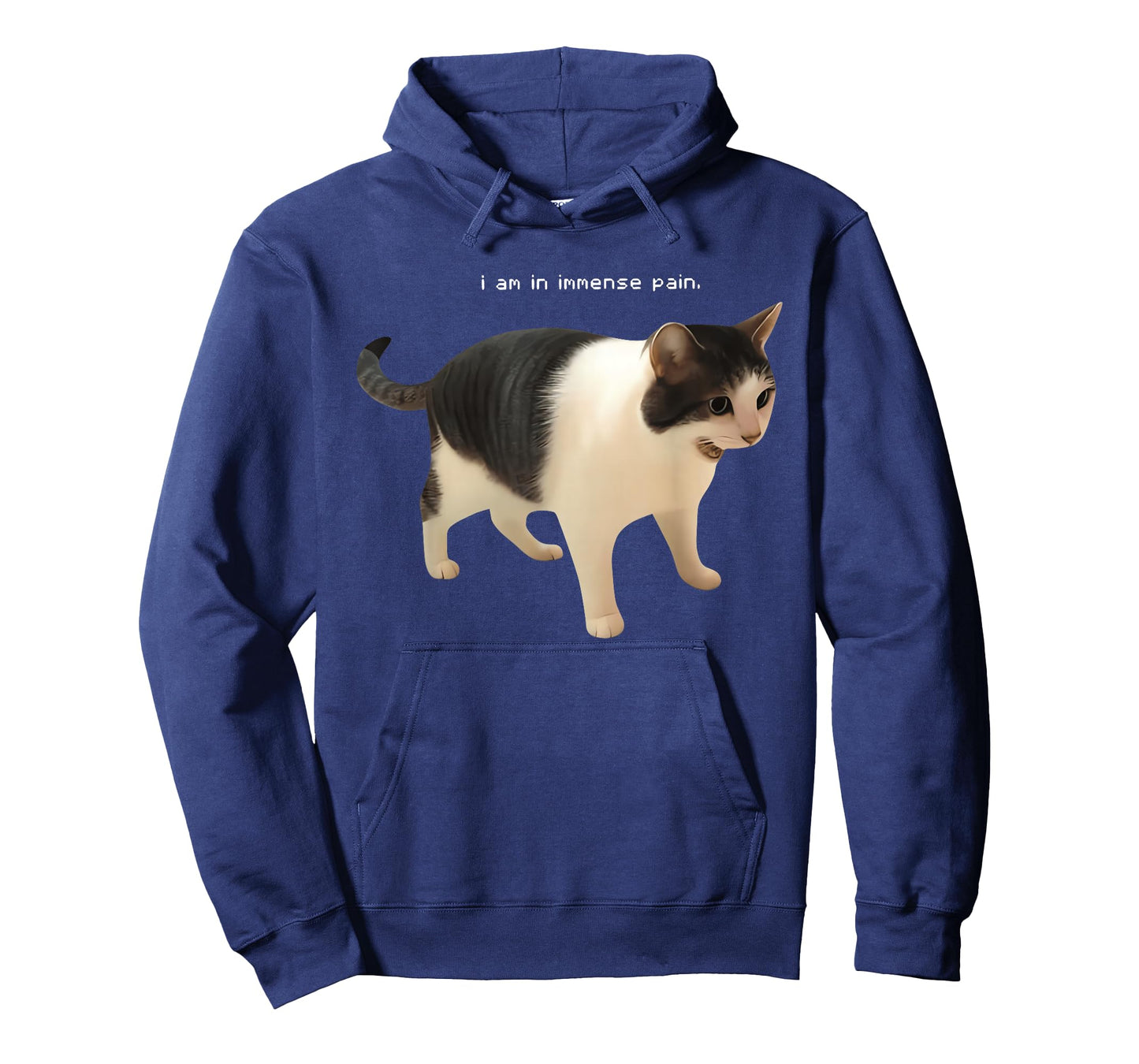I Am in Immense Pain Funny Cat Meme Quote T-Shirt