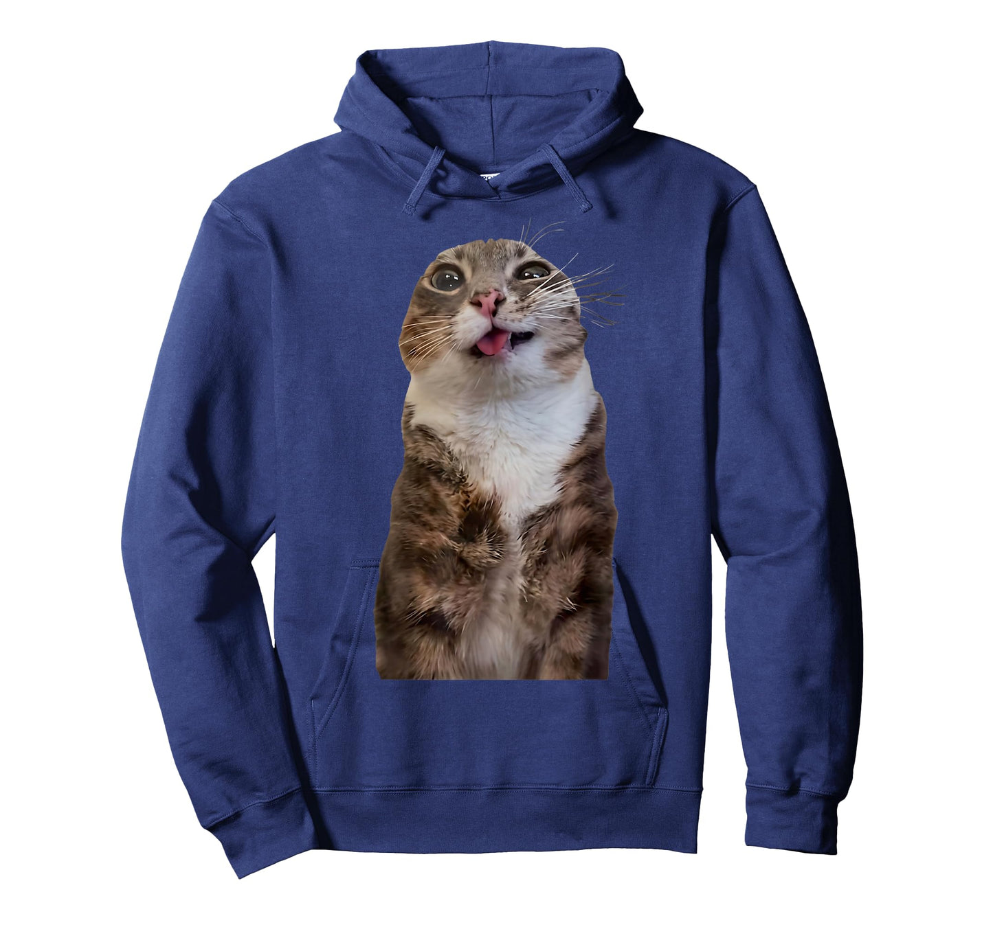 Funny Rigby Cat Silly Viral Meme T-Shirt