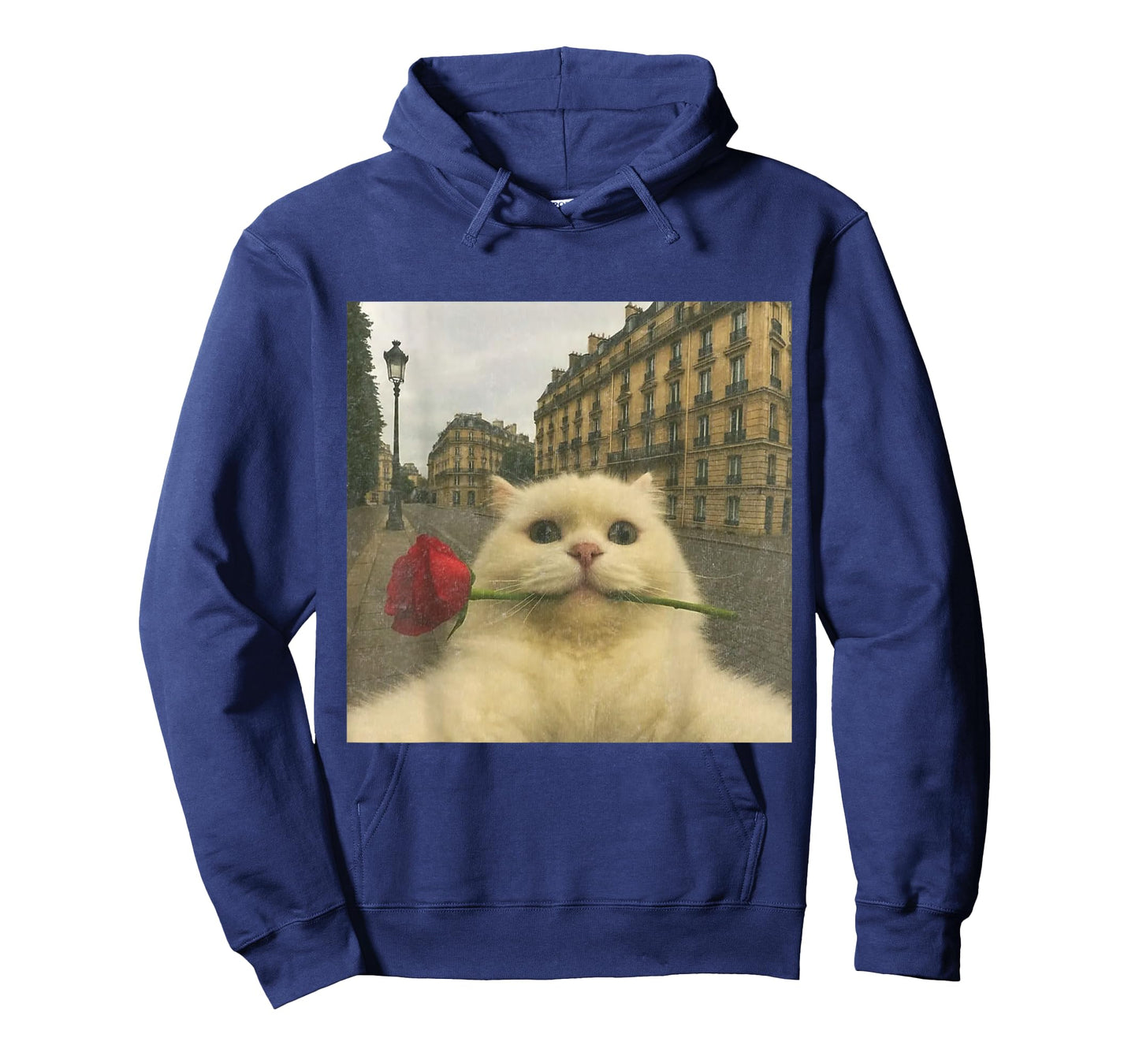 Funny Romantic Cat Selfie Paris Rose Cat Meme Valentine T-Shirt