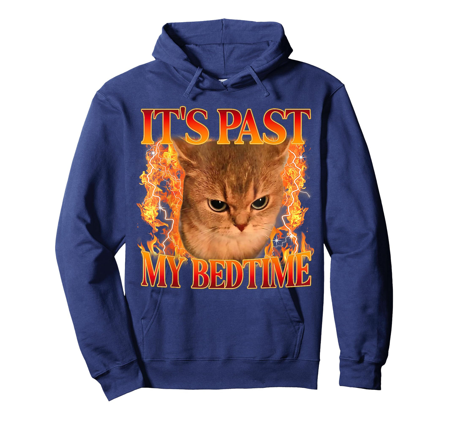 It's Past My Bedtime Funny Cat Meme Animals Humor Quote T-Shirt