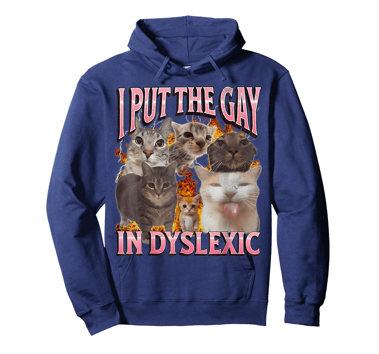 I Put The Gay in Dyslexic Funny Cat Meme Bootleg Graphic T-Shirt