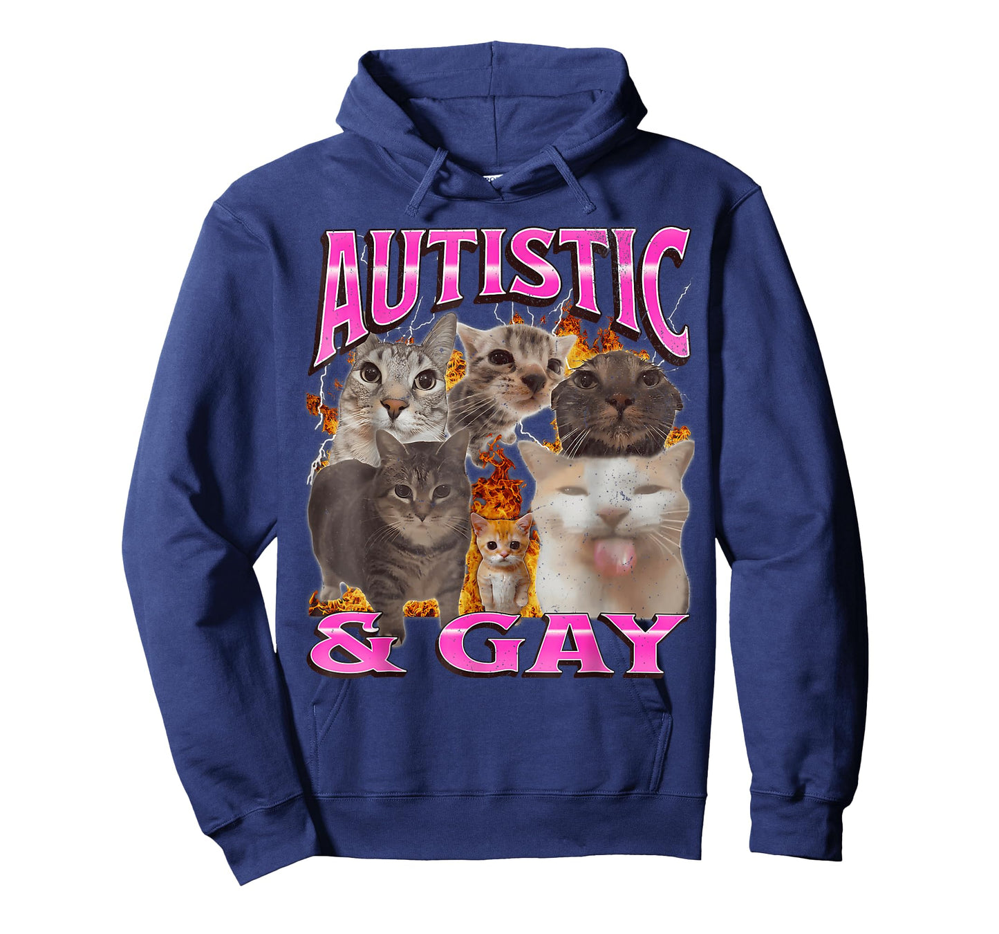 Autistic and Gay Funny Cat Meme Bootleg Graphic T Shirt T-Shirt