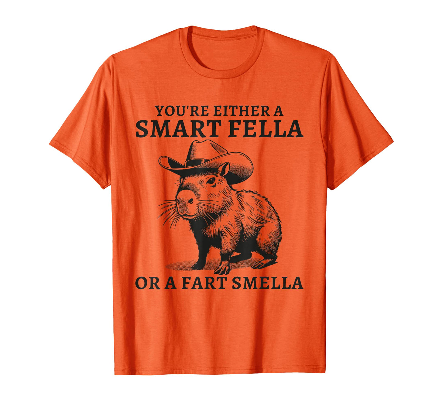 You're Either A Smart Fella Or A Fart Smella Funny Sarcastic T-Shirt