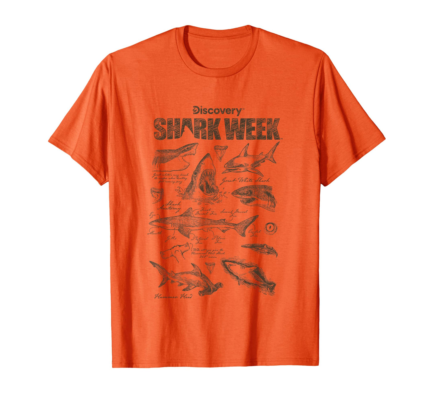Shark Week Infographic Sharks Textbook Jumble T-Shirt