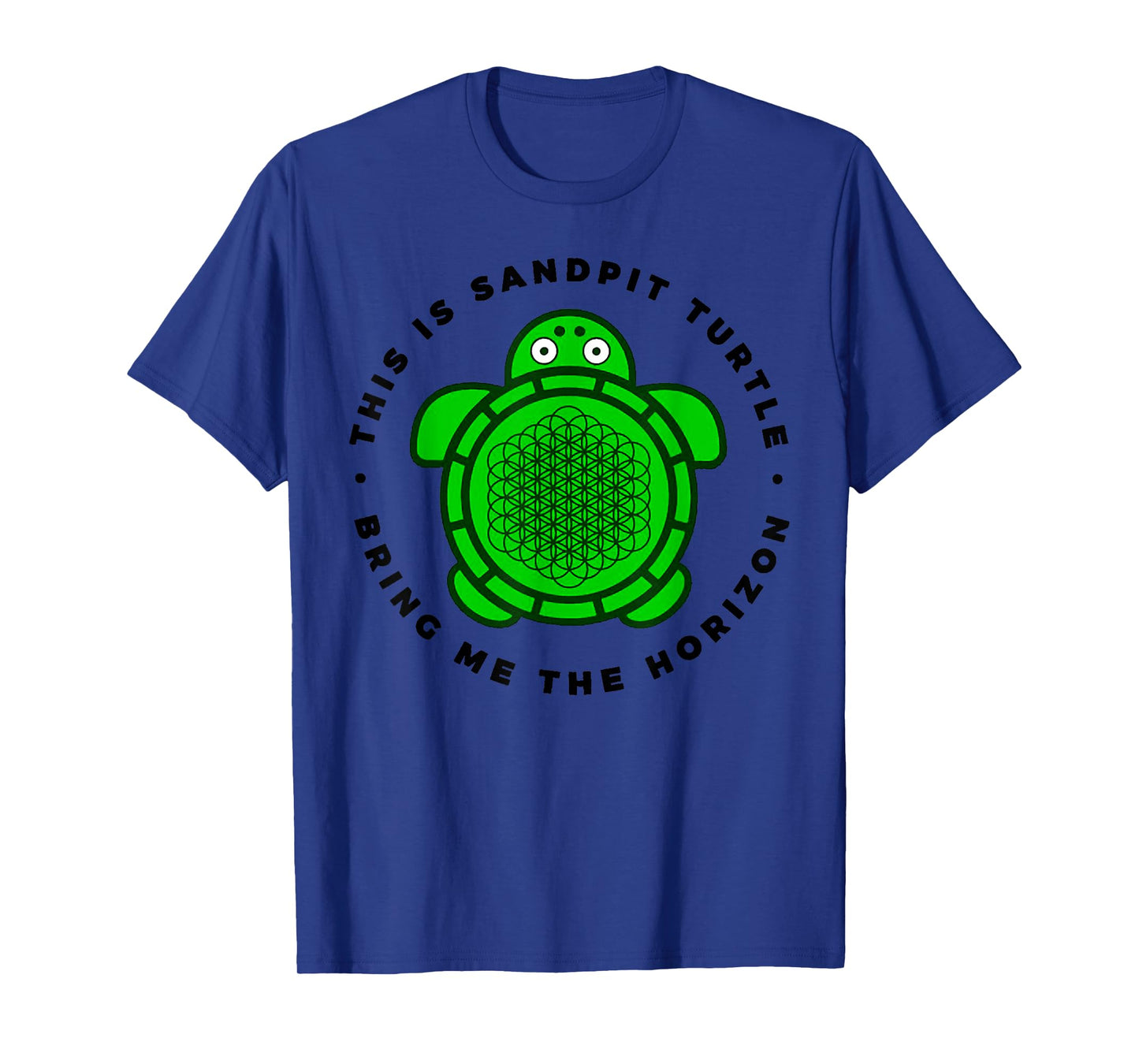 Vintage Funny This Is Sandpit Turtle Retro Animal Meme T-Shirt