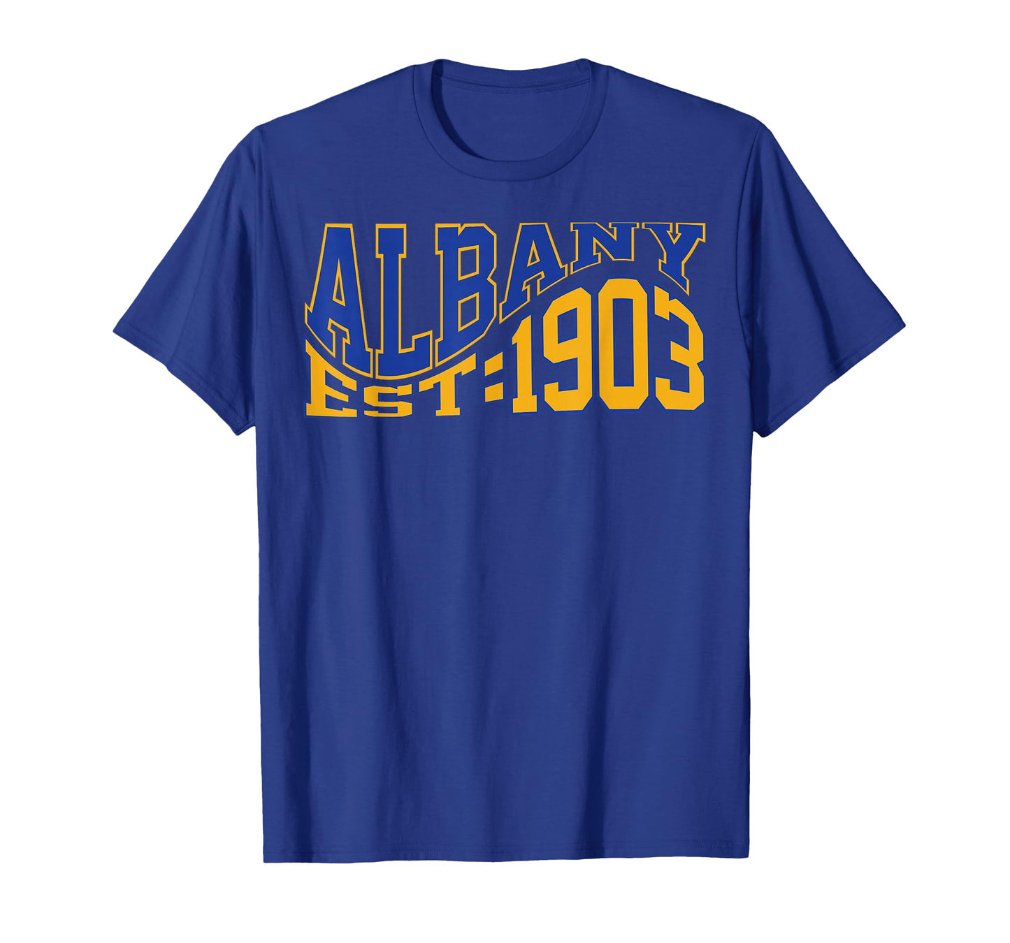 Retro Albany Wave Text City Vintage State T-Shirt