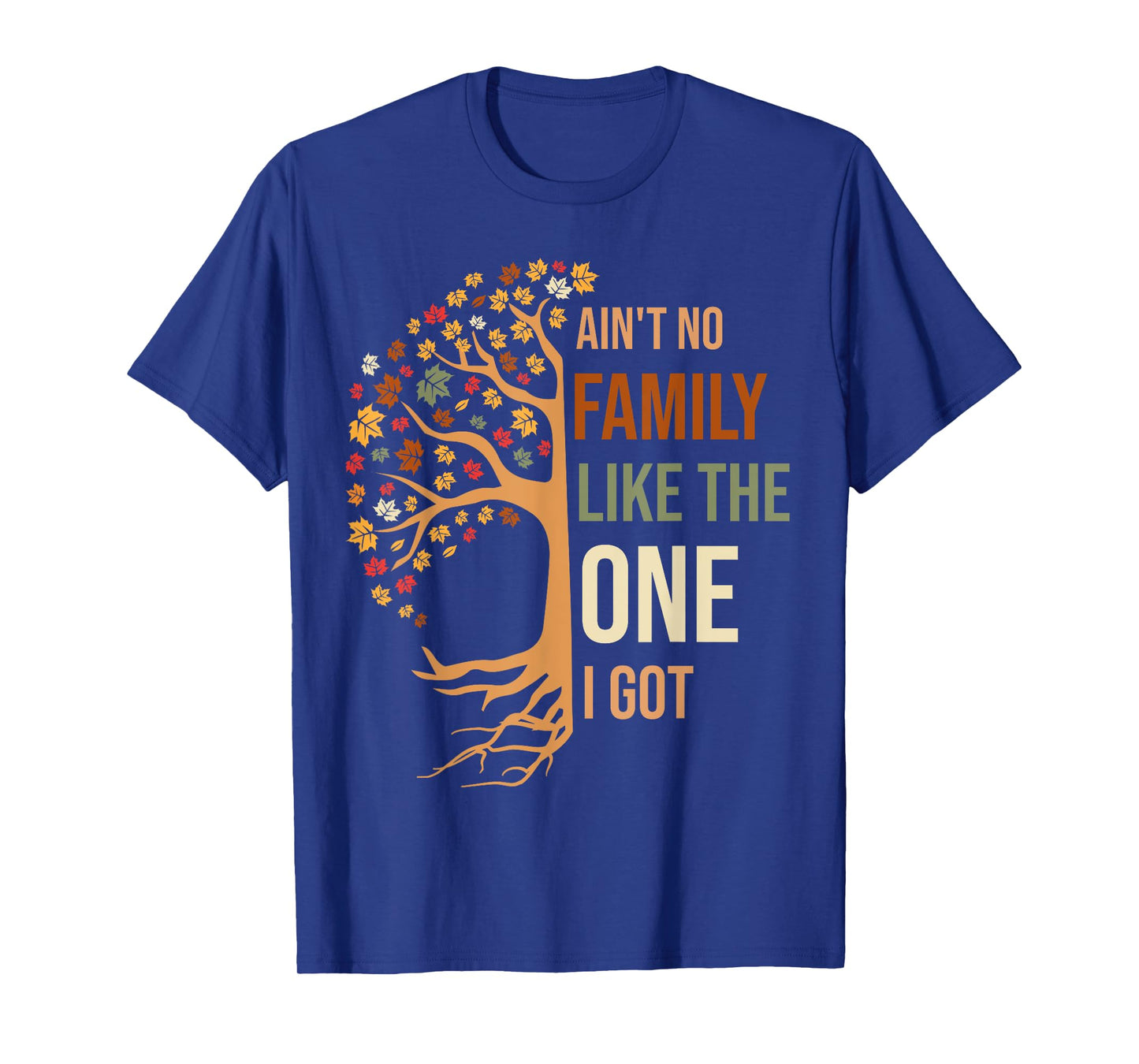 Ain't No Family Like The One I Got Funny Family Reunion 2024 T-Shirt