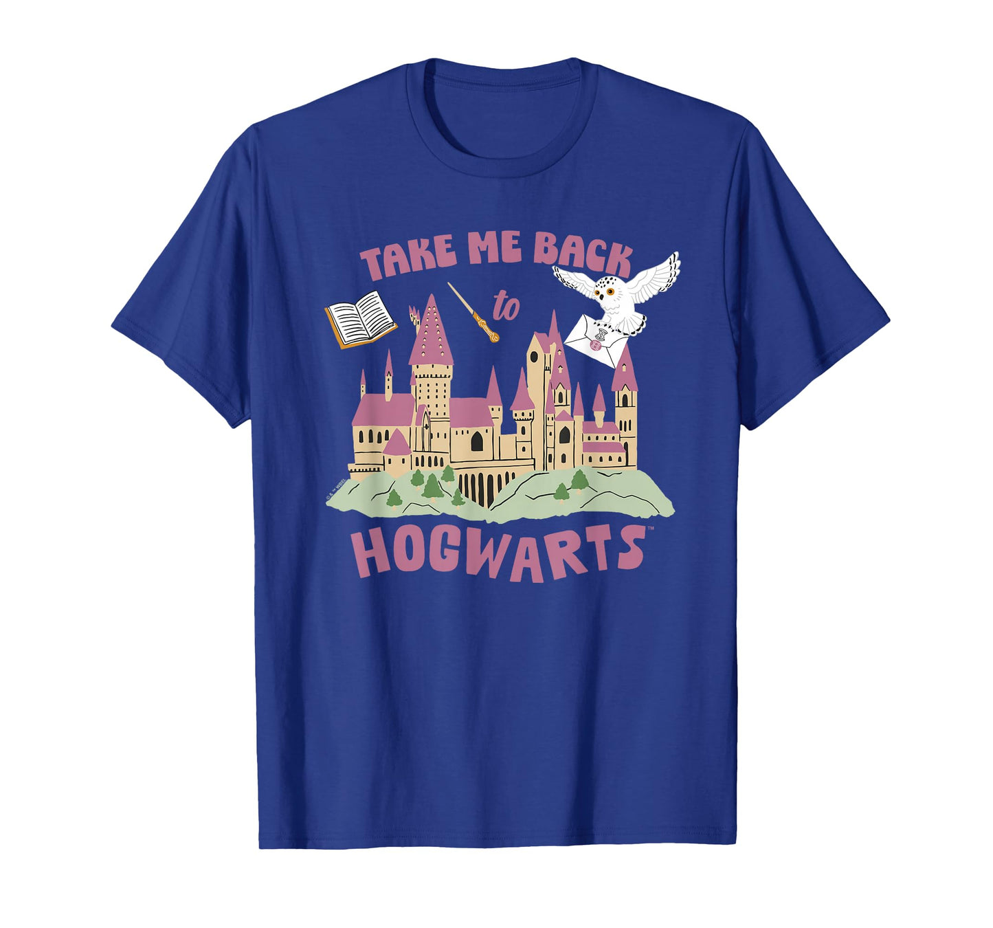 Harry Potter Take Me Back To Hogwarts T-Shirt