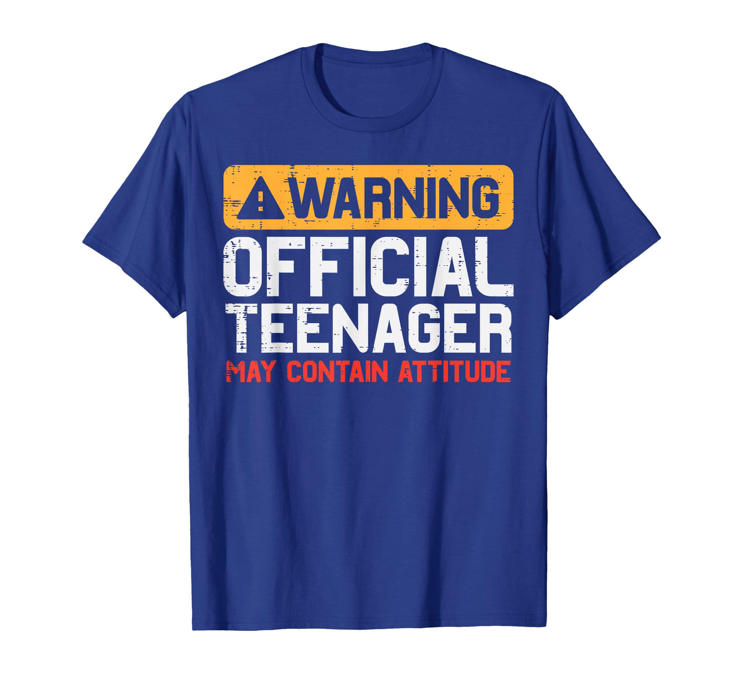 Warning Official Teenager Attitude 13th Birthday Boys Girls T-Shirt