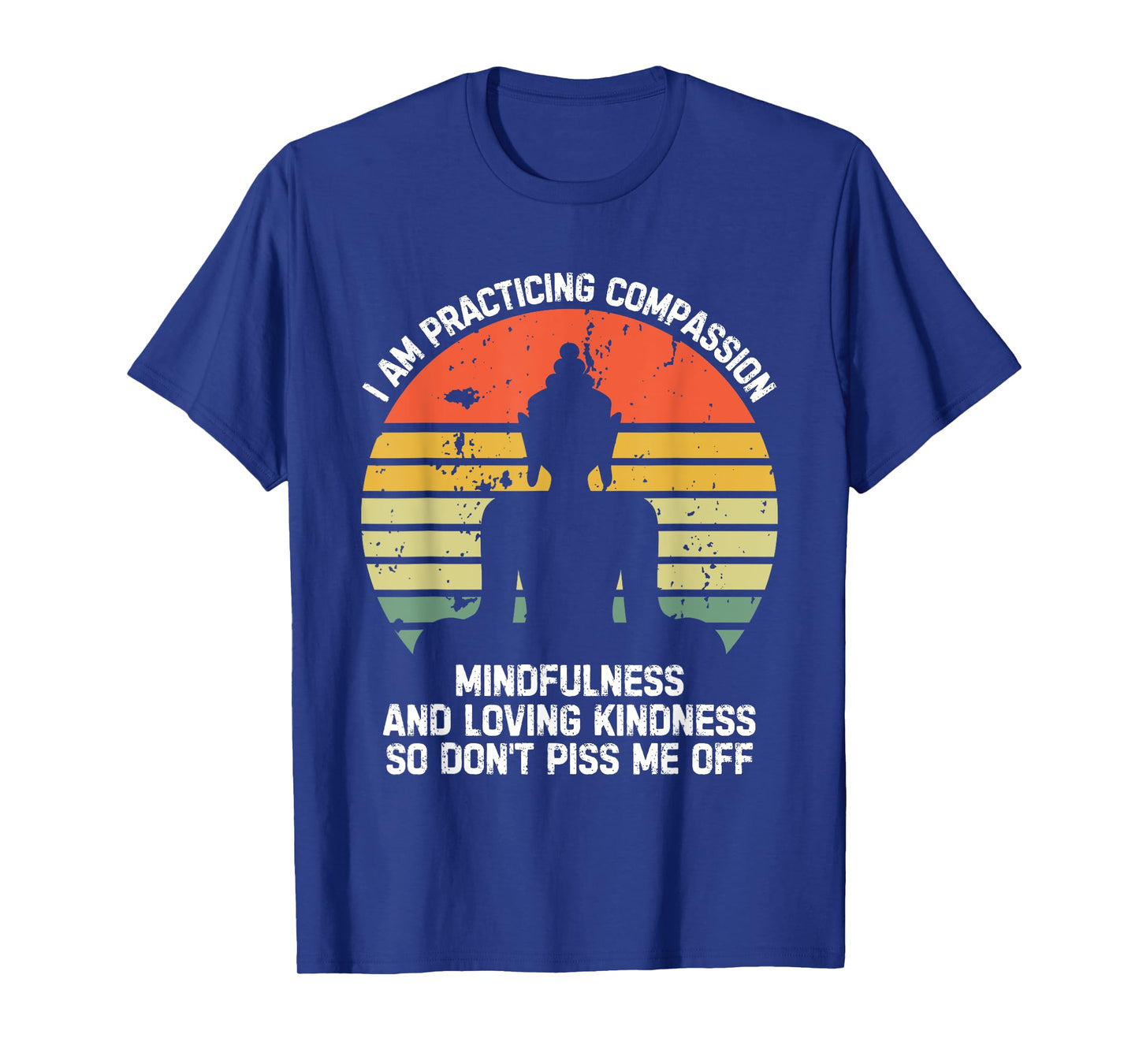 I am Practicing Mindfulness Compassion So Don't Piss Me Off T-Shirt
